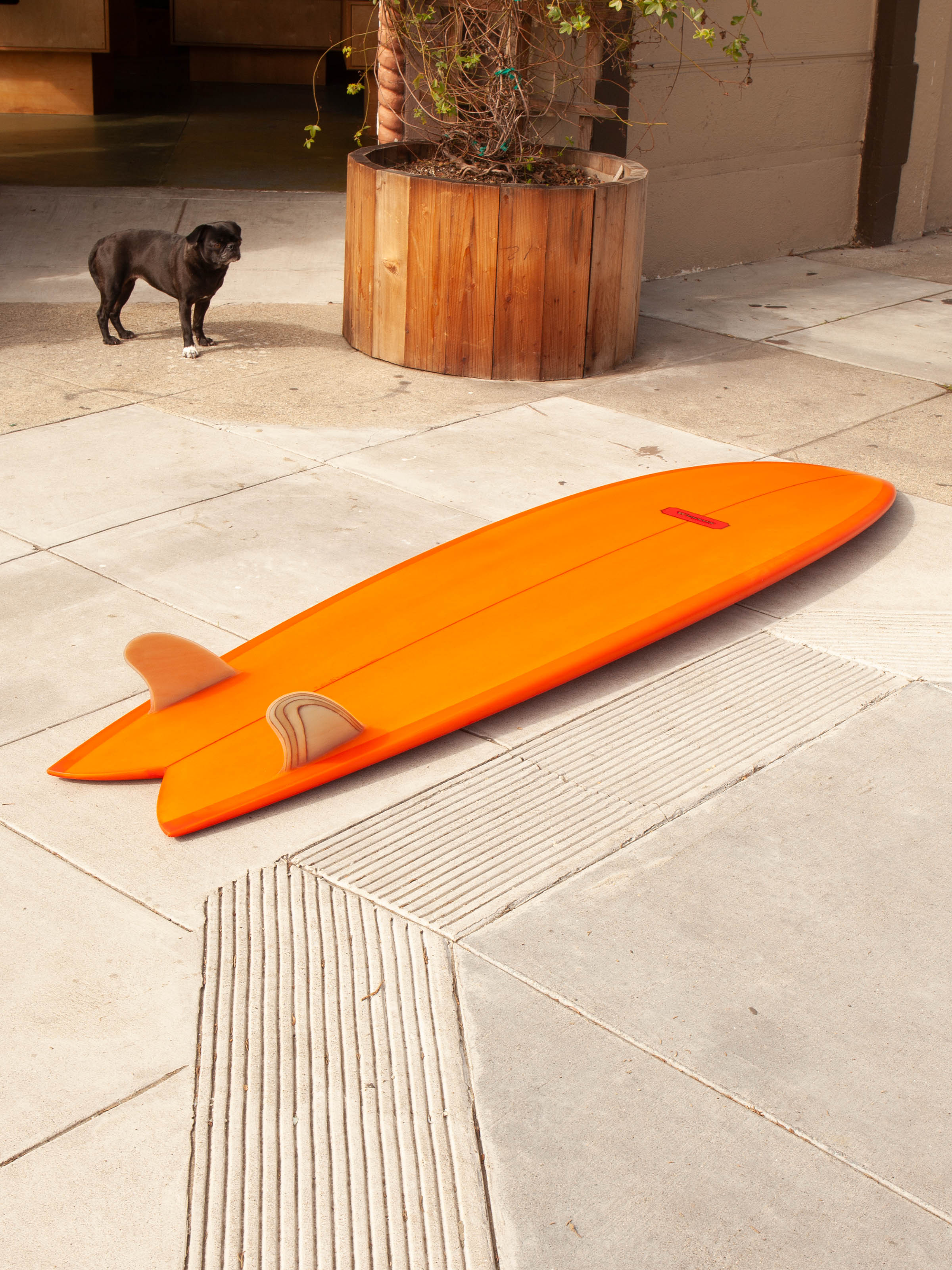 7'6 Weston Fish - Mollusk Surf Shop