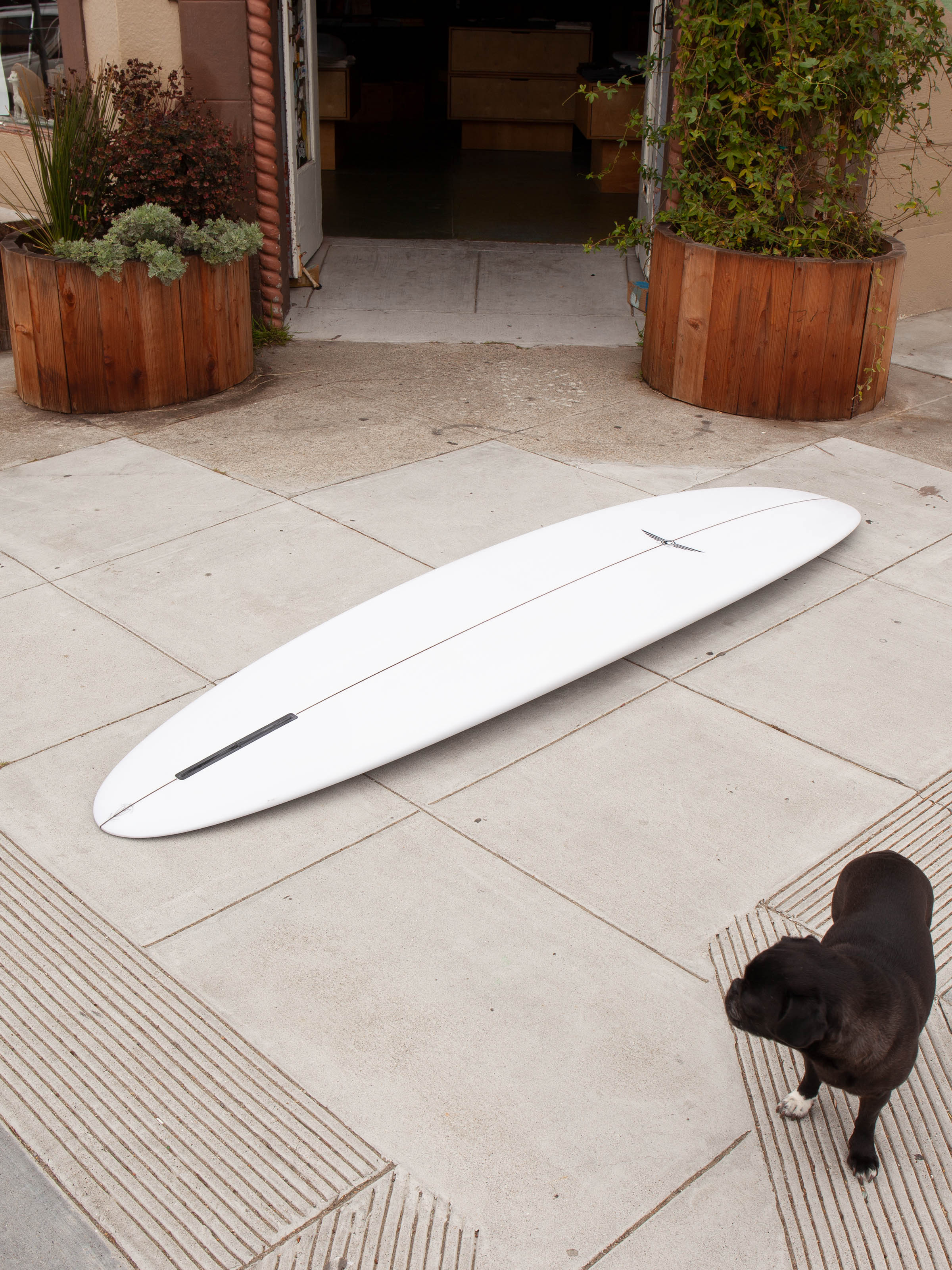 7'7 Allan Gibbons Egg - Mollusk Surf Shop