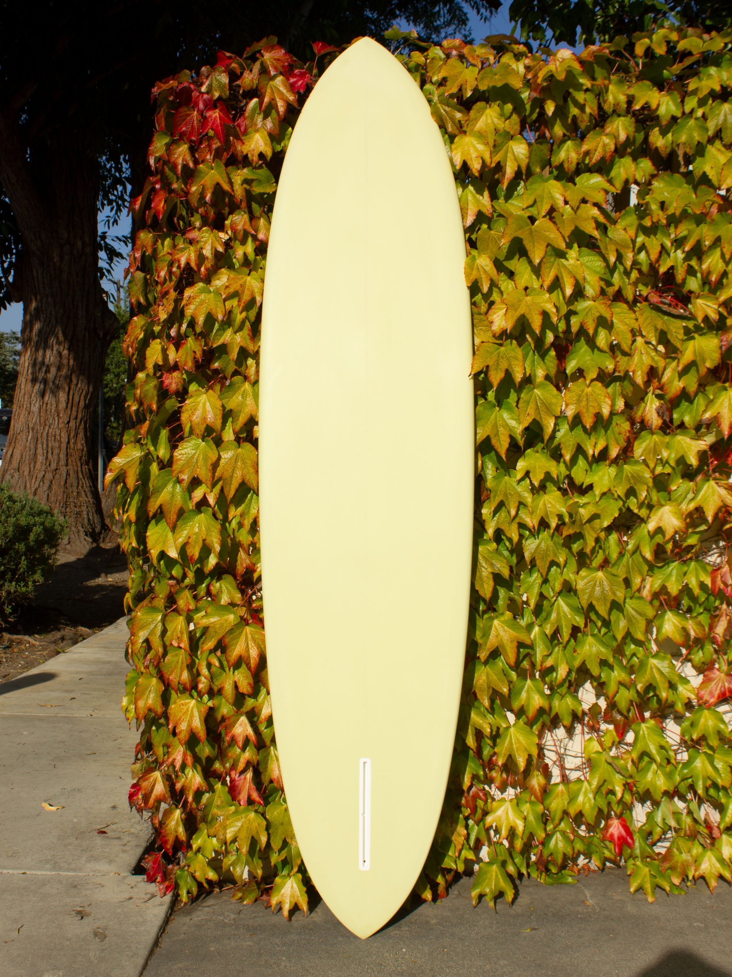 7'8 Jeff Svoboda Billie Jean - Mollusk Surf Shop