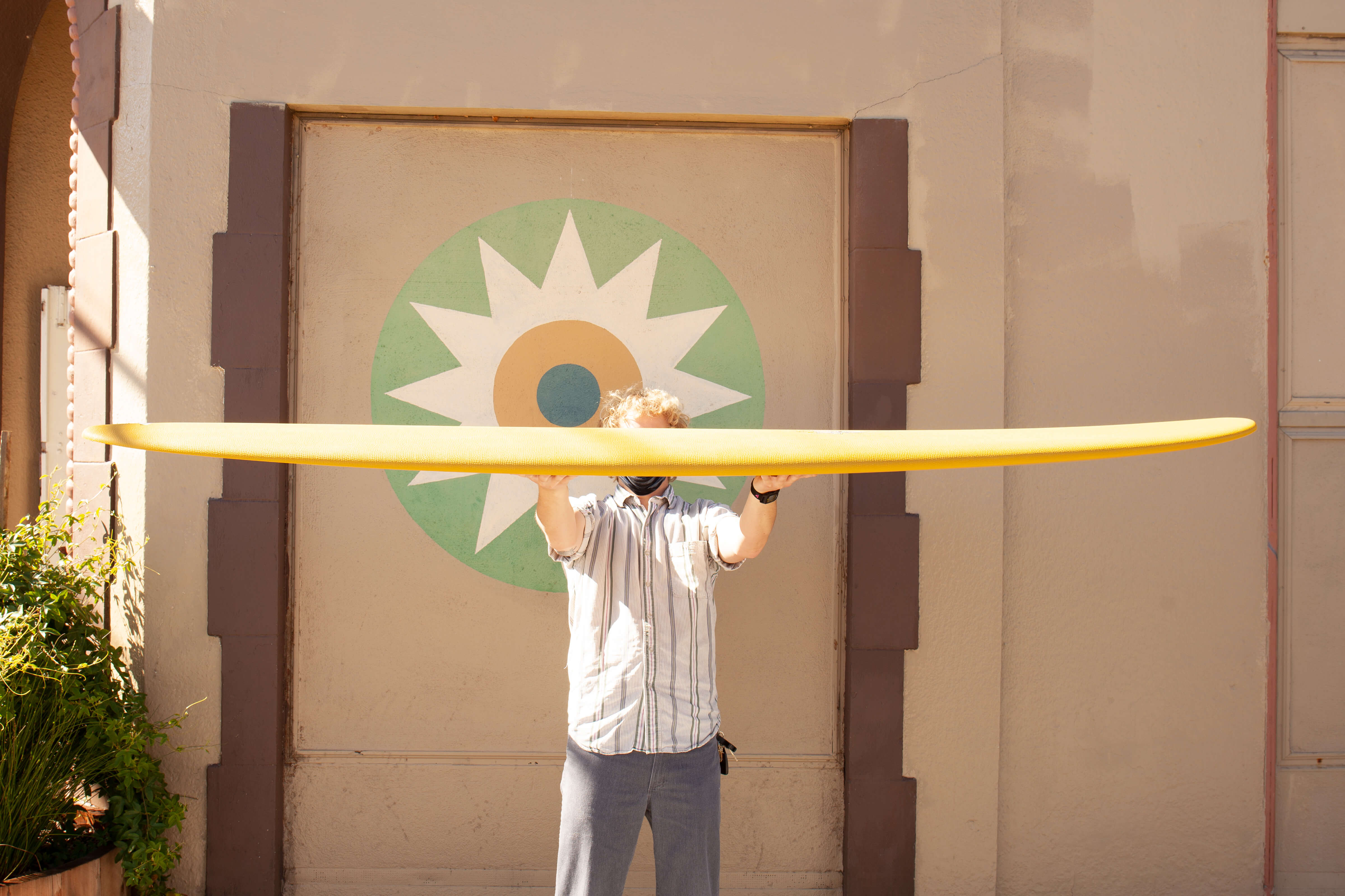 8'0 Crime Stubby - Dijon - Mollusk Surf Shop