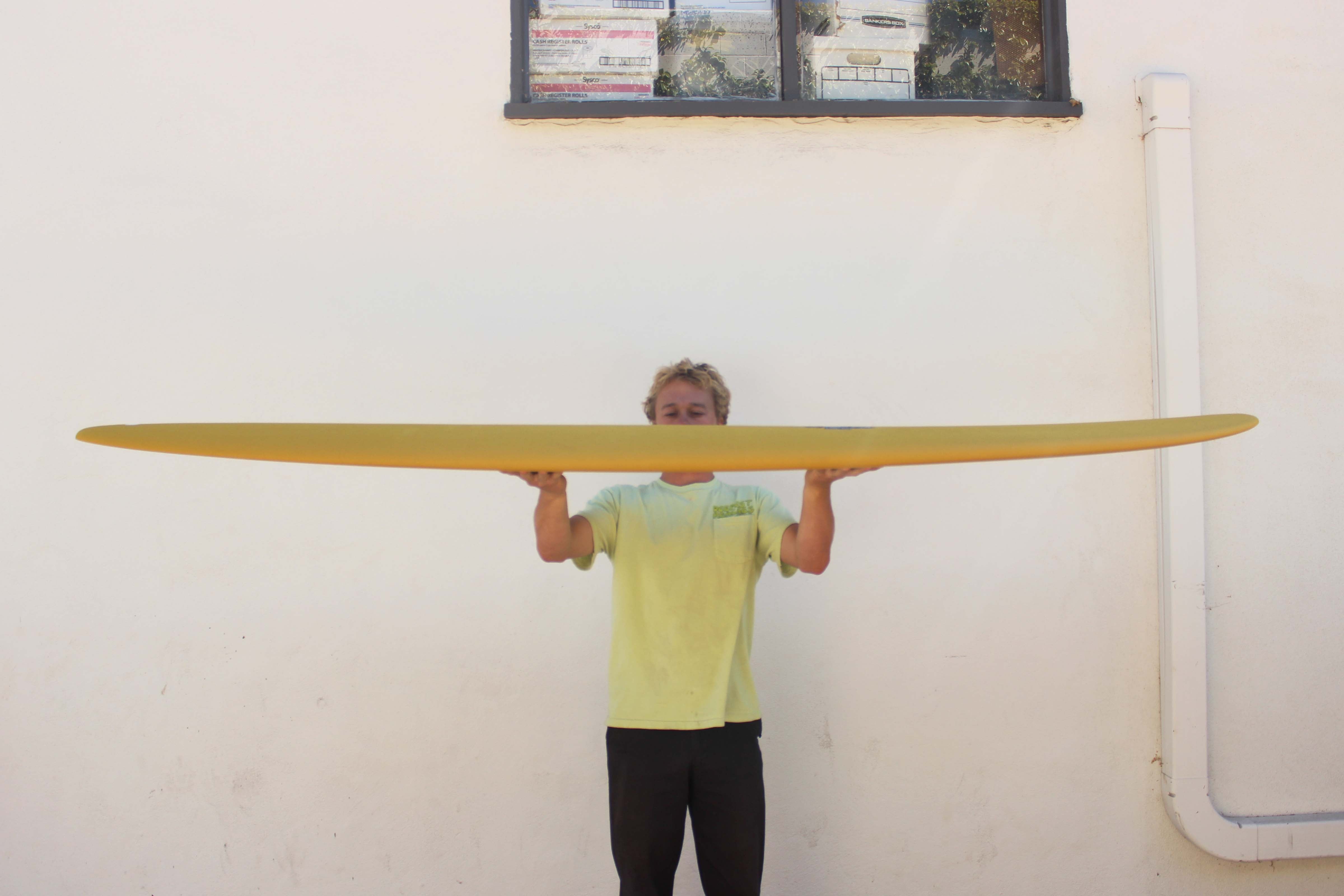 8'0 Crime Stubby - Dijon - Mollusk Surf Shop