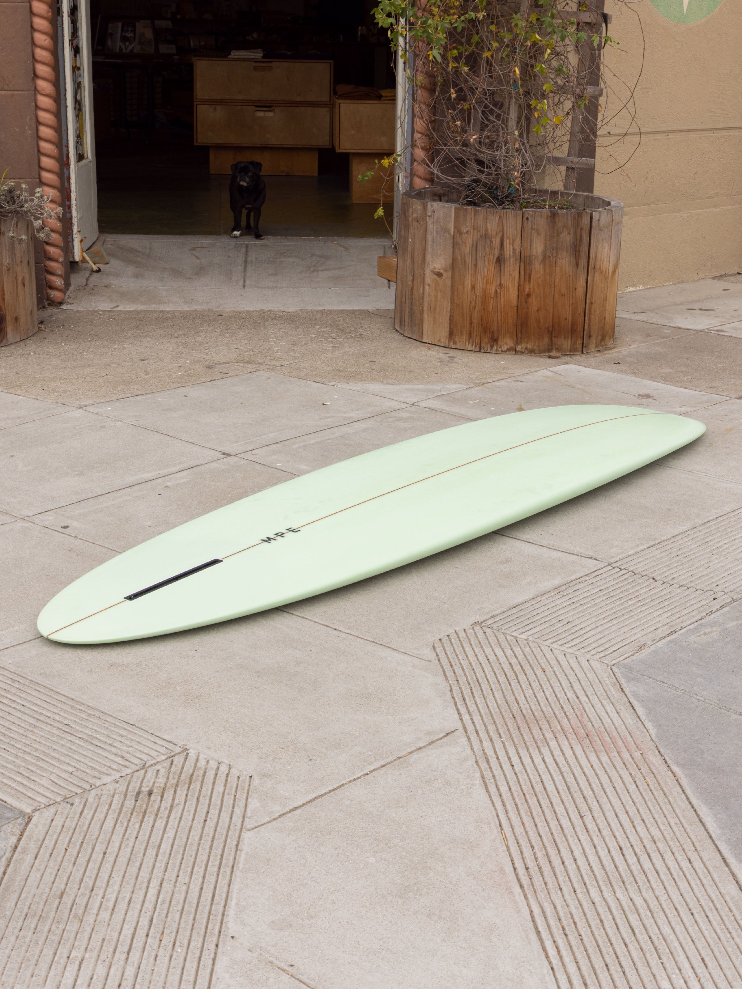 8'0 MPE P40 - Mint - Mollusk Surf Shop