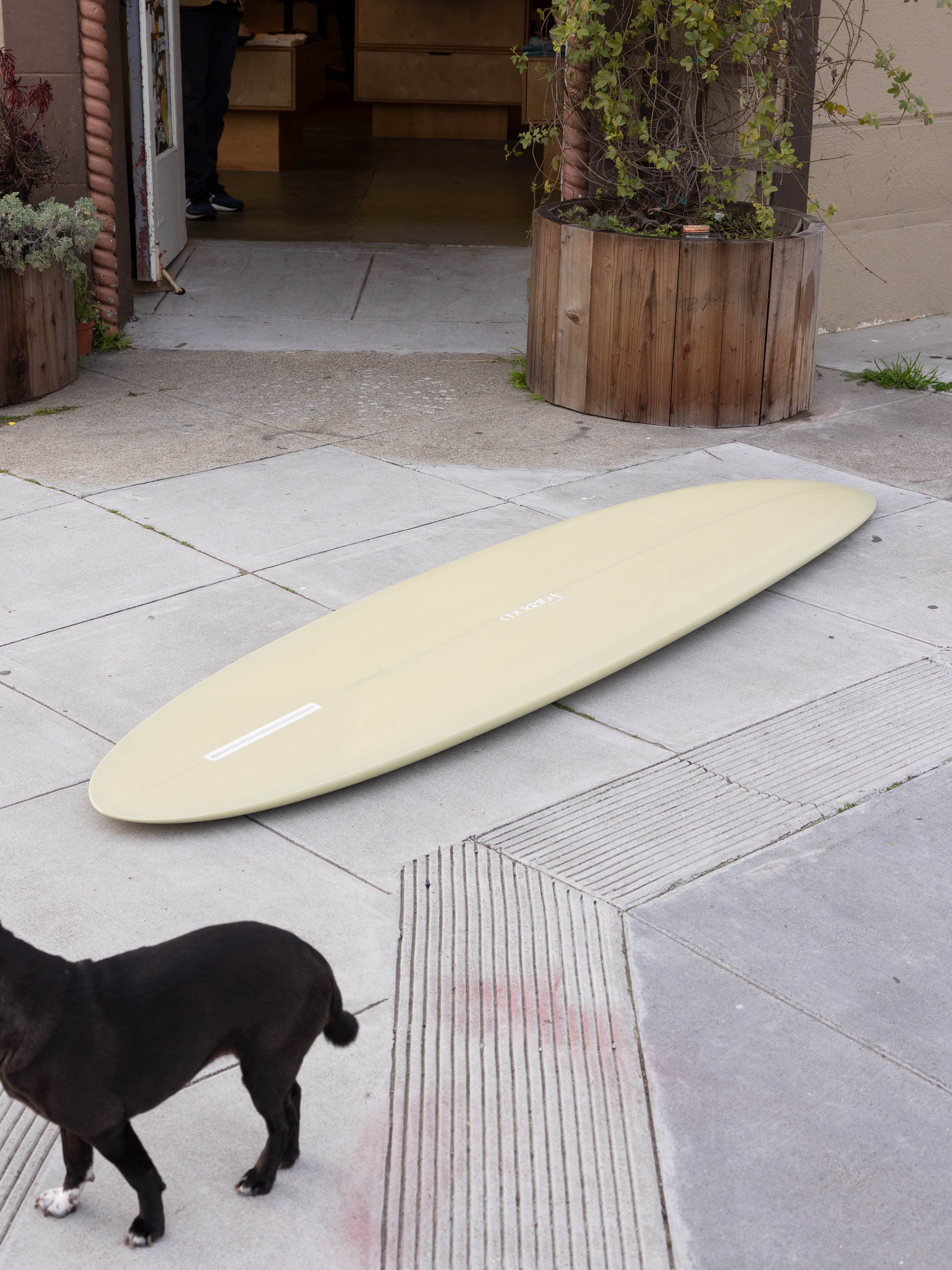 8'2 Furrow Labyrinth - Mollusk Surf Shop