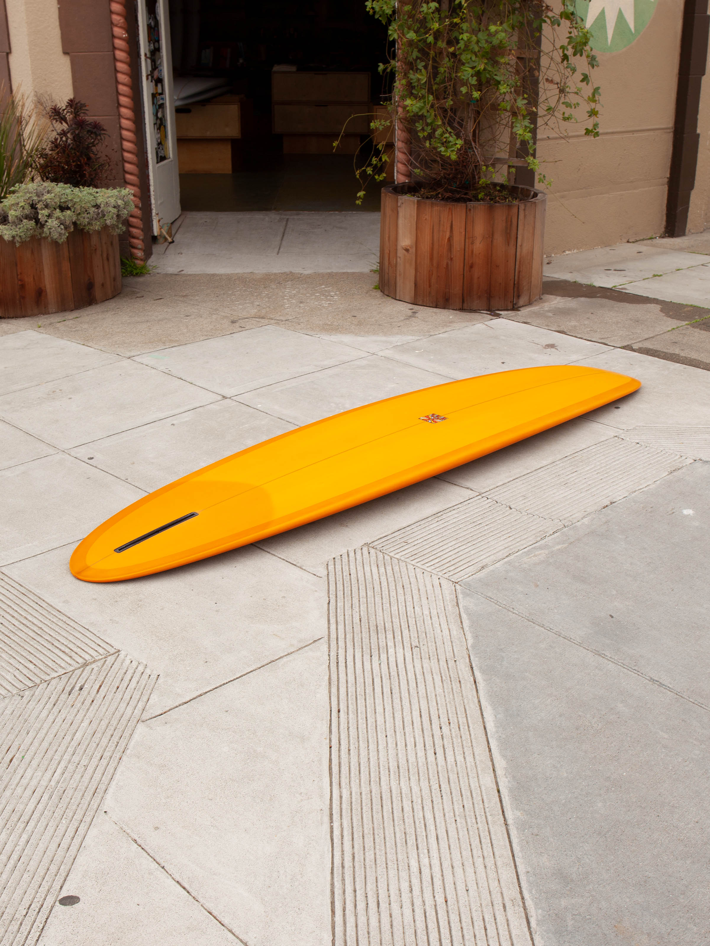 8'2 Tyler Warren Evo Single Egg - Mollusk Surf Shop