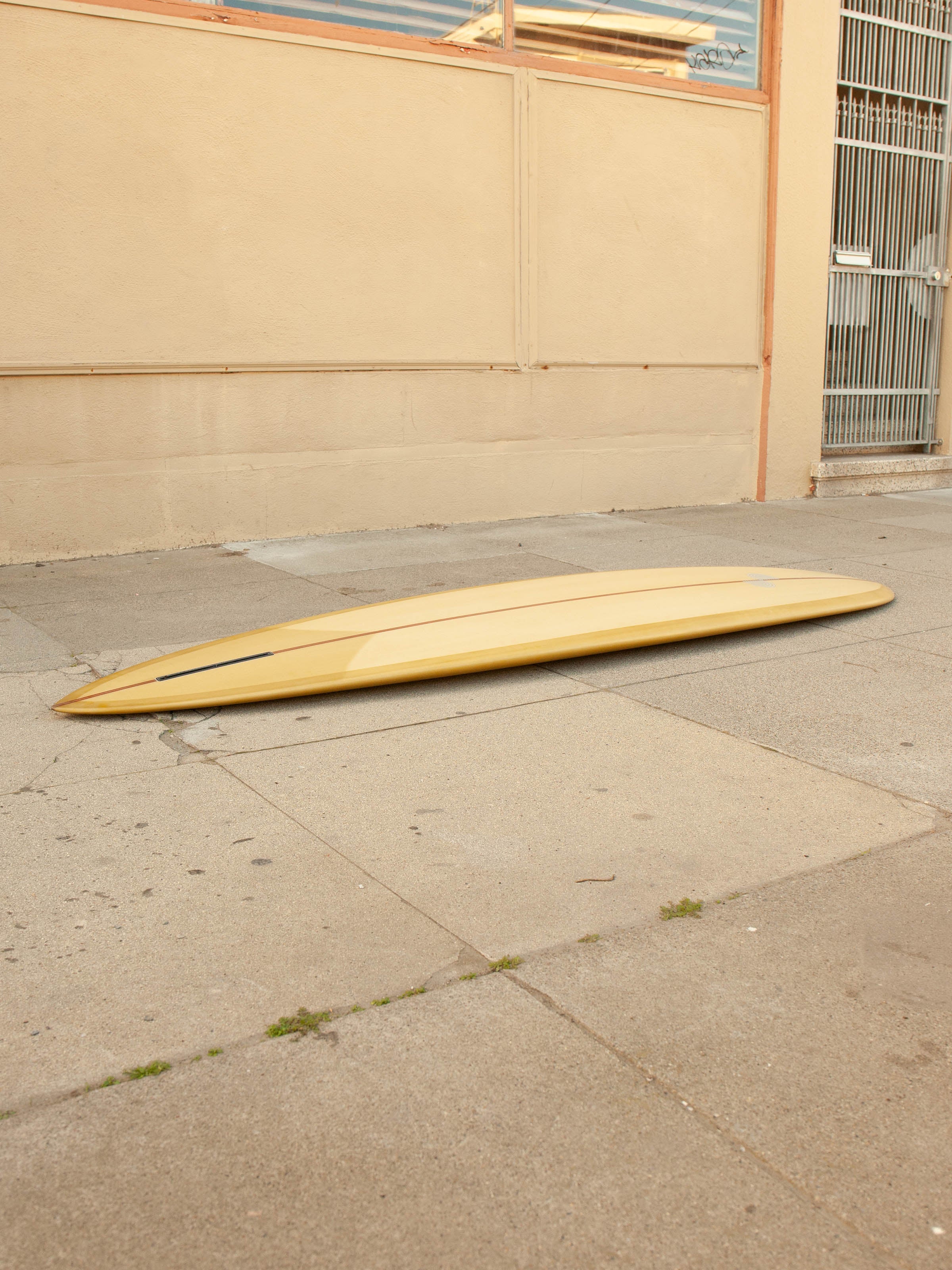 8'6 Andreini Serena - Mollusk Surf Shop