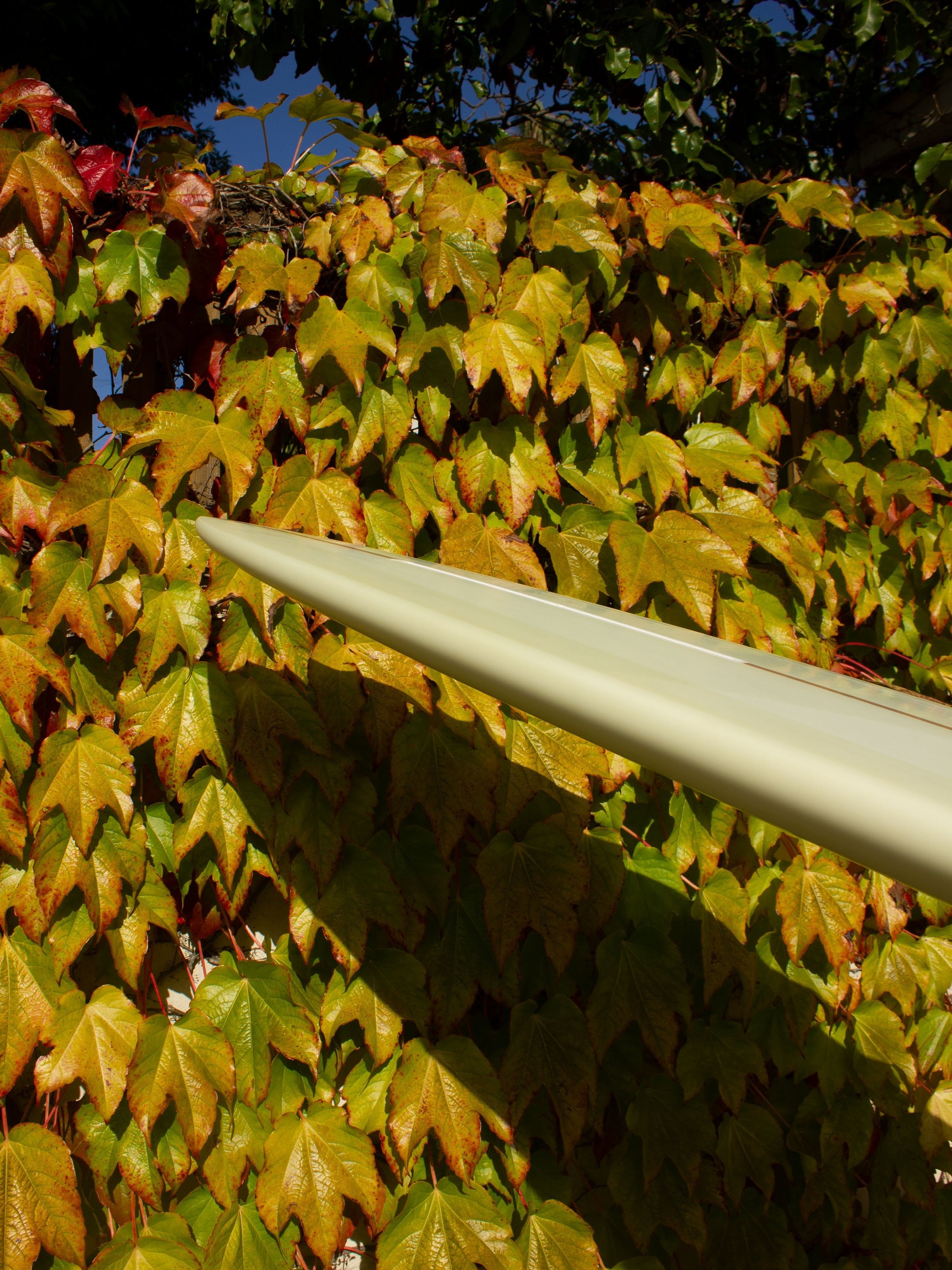 9'0 Jeff Svoboda Billie Jean - Mollusk Surf Shop - description