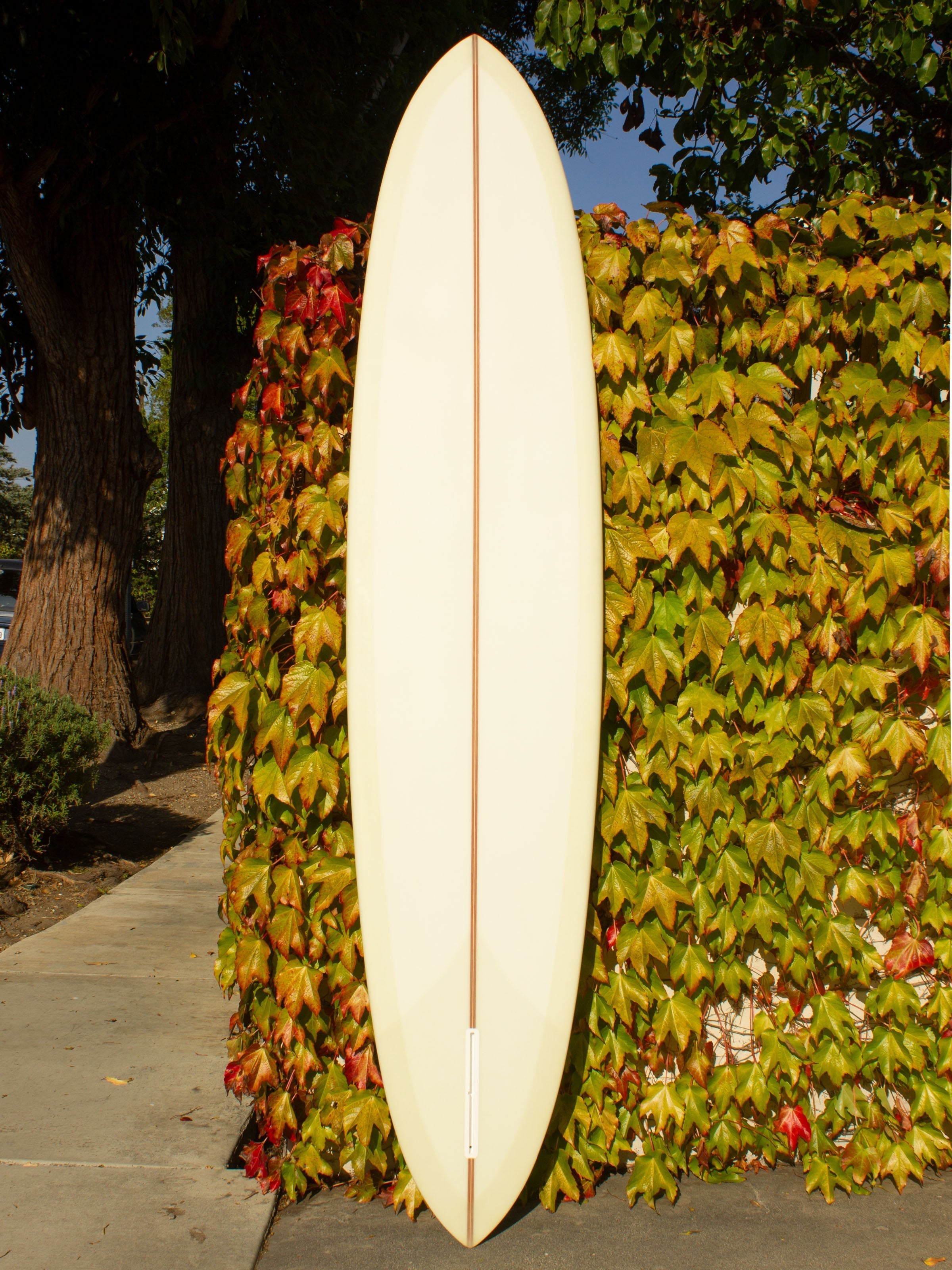 9'0 Jeff Svoboda Billie Jean - Mollusk Surf Shop
