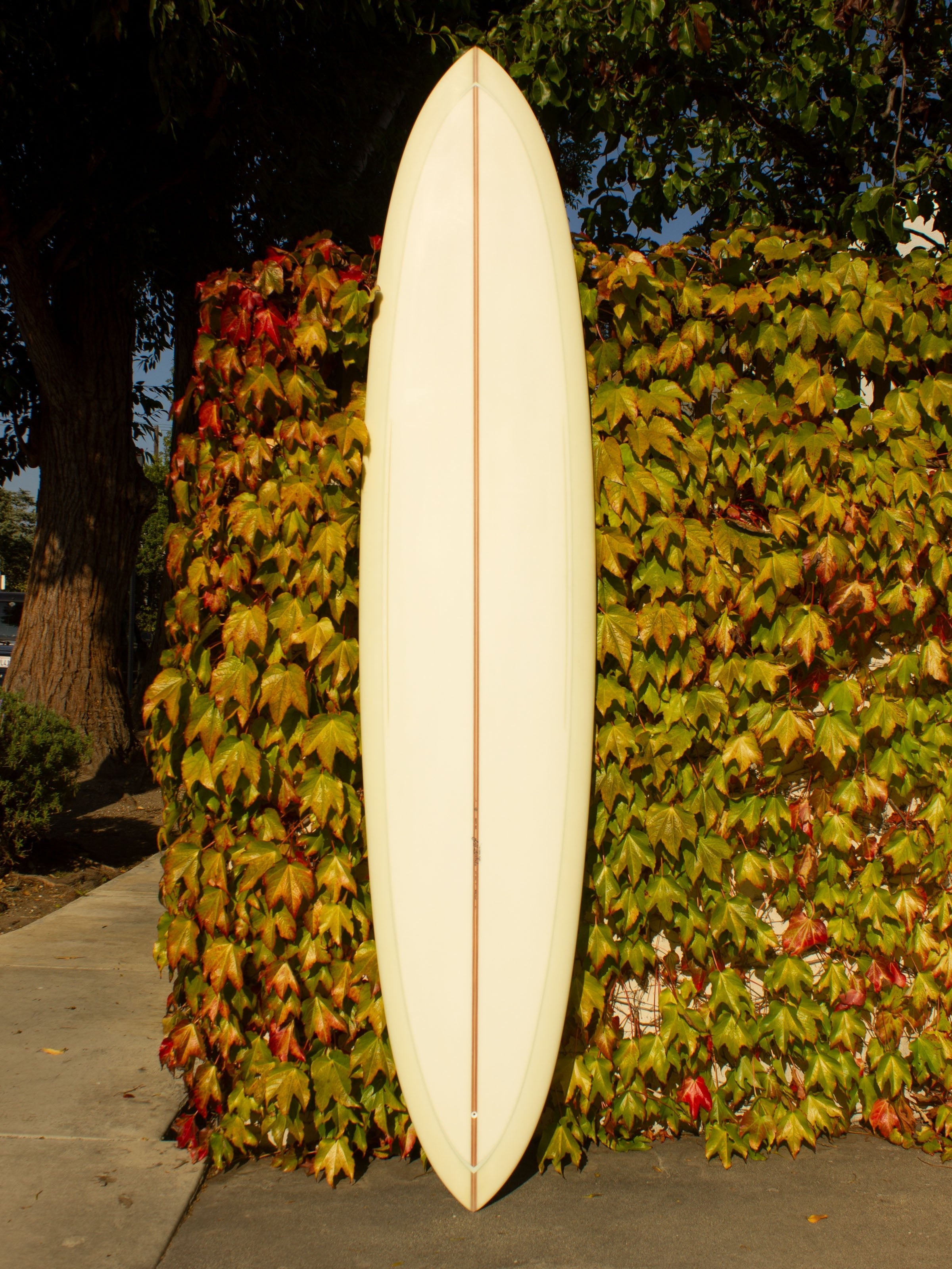9'0 Jeff Svoboda Billie Jean - Mollusk Surf Shop