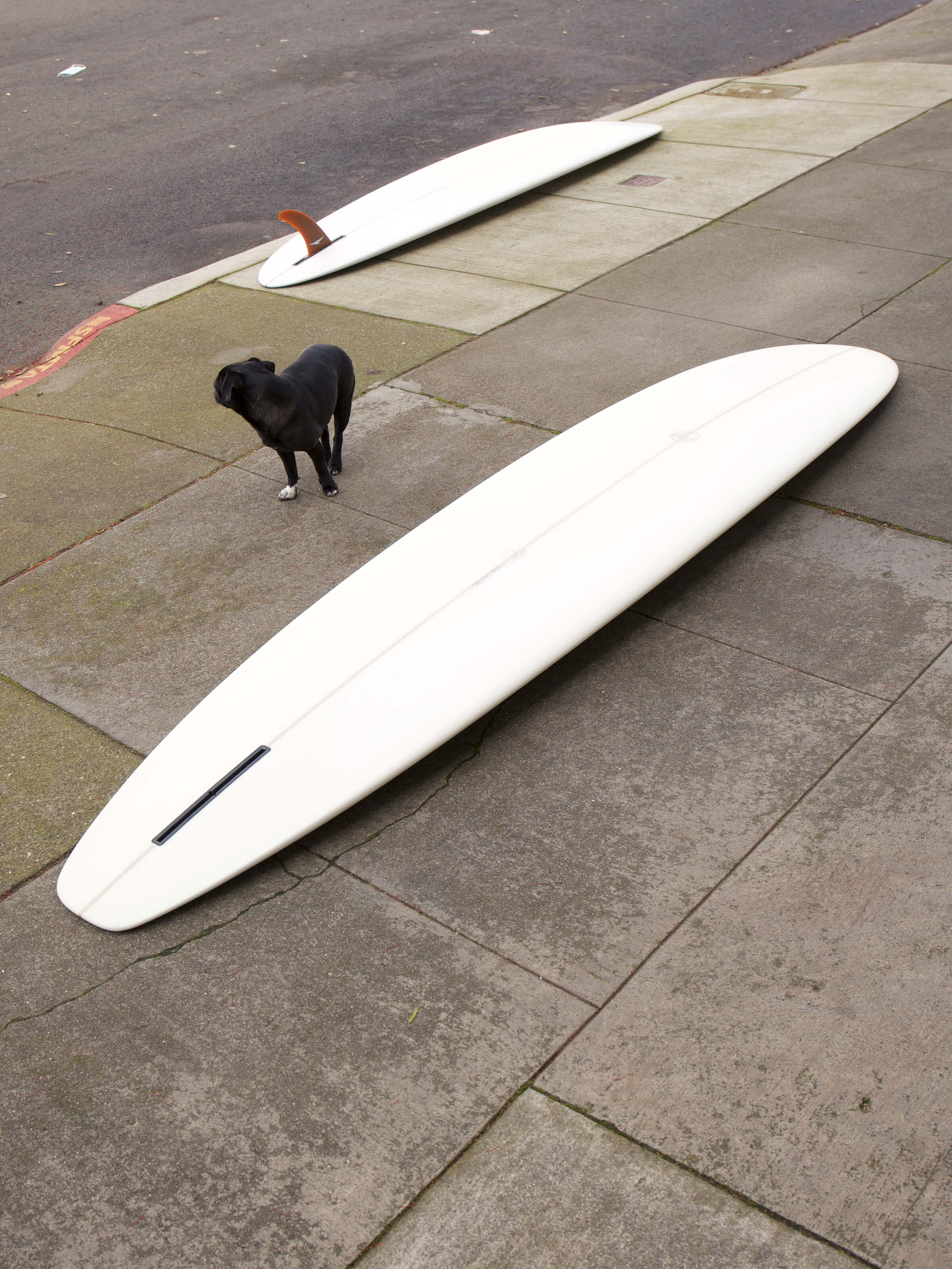 9'0 Mitsven Modern Classic - Mollusk Surf Shop