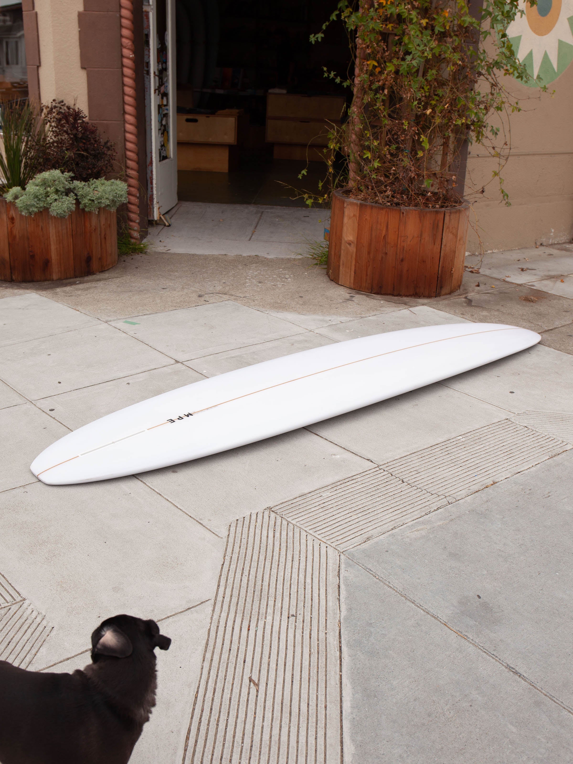 9'0 MPE P38 - Clear - Mollusk Surf Shop
