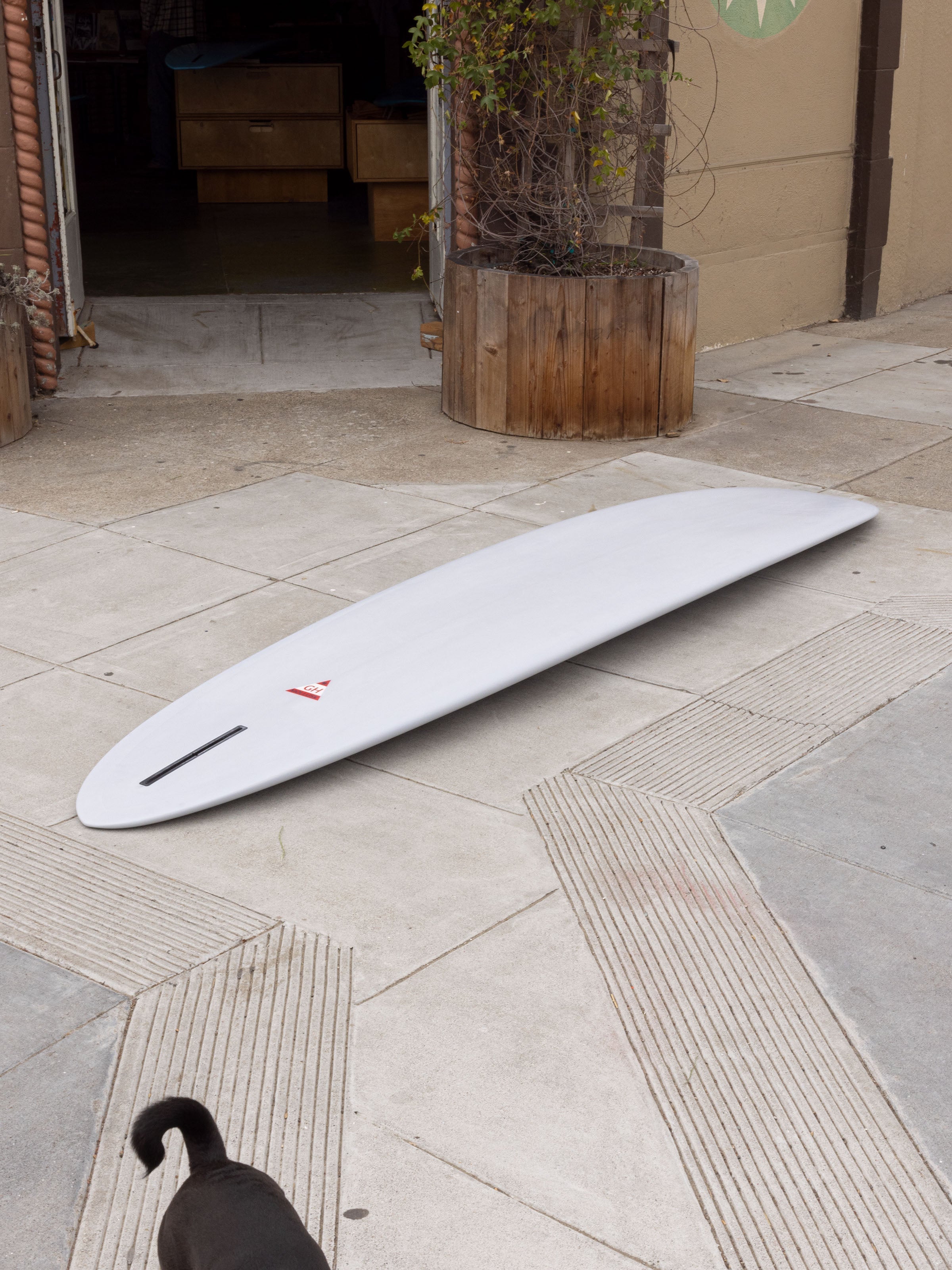 9'2 Hanel CNR - Mollusk Surf Shop