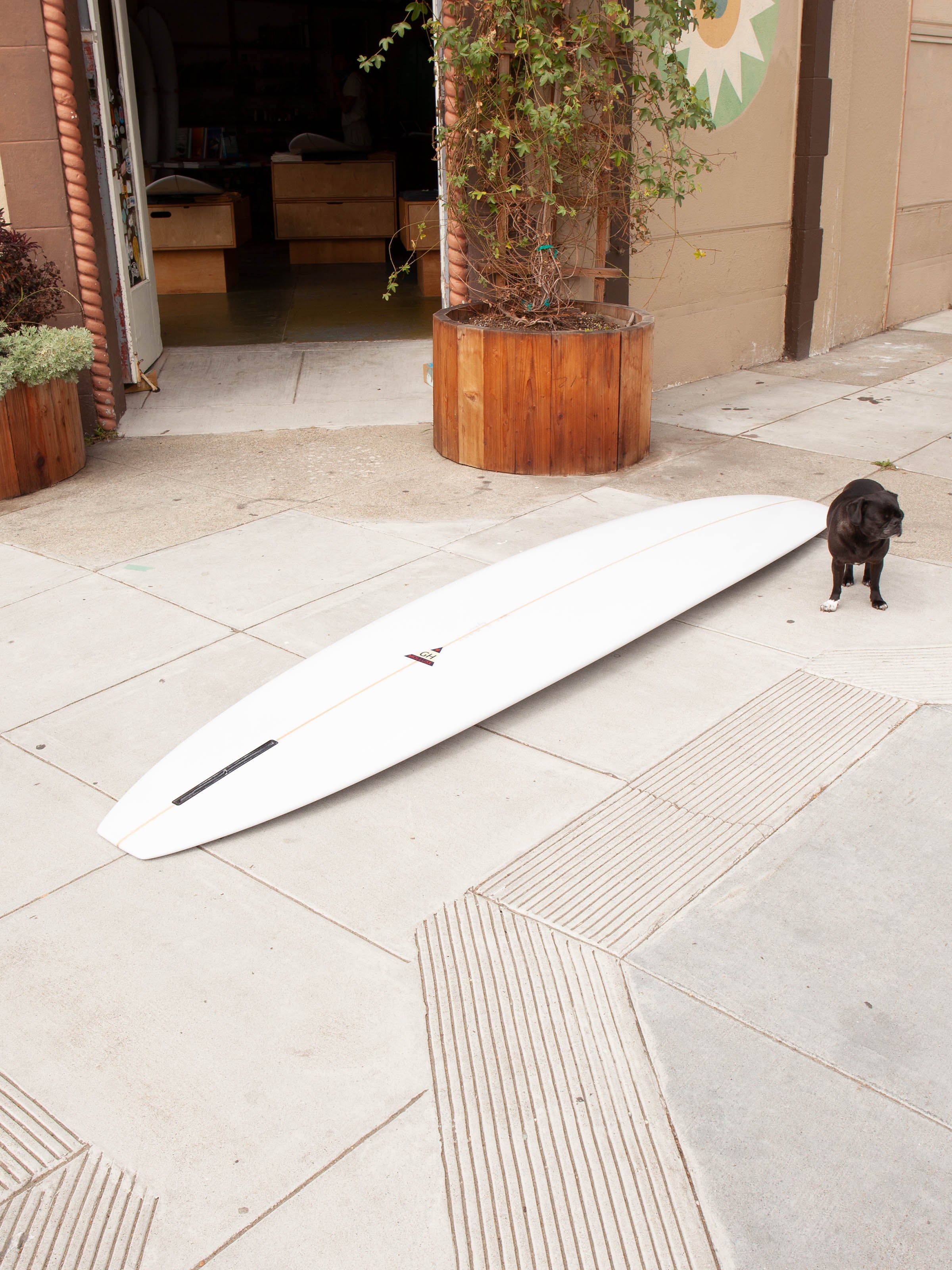 9'2 Hanel OSL - Mollusk Surf Shop