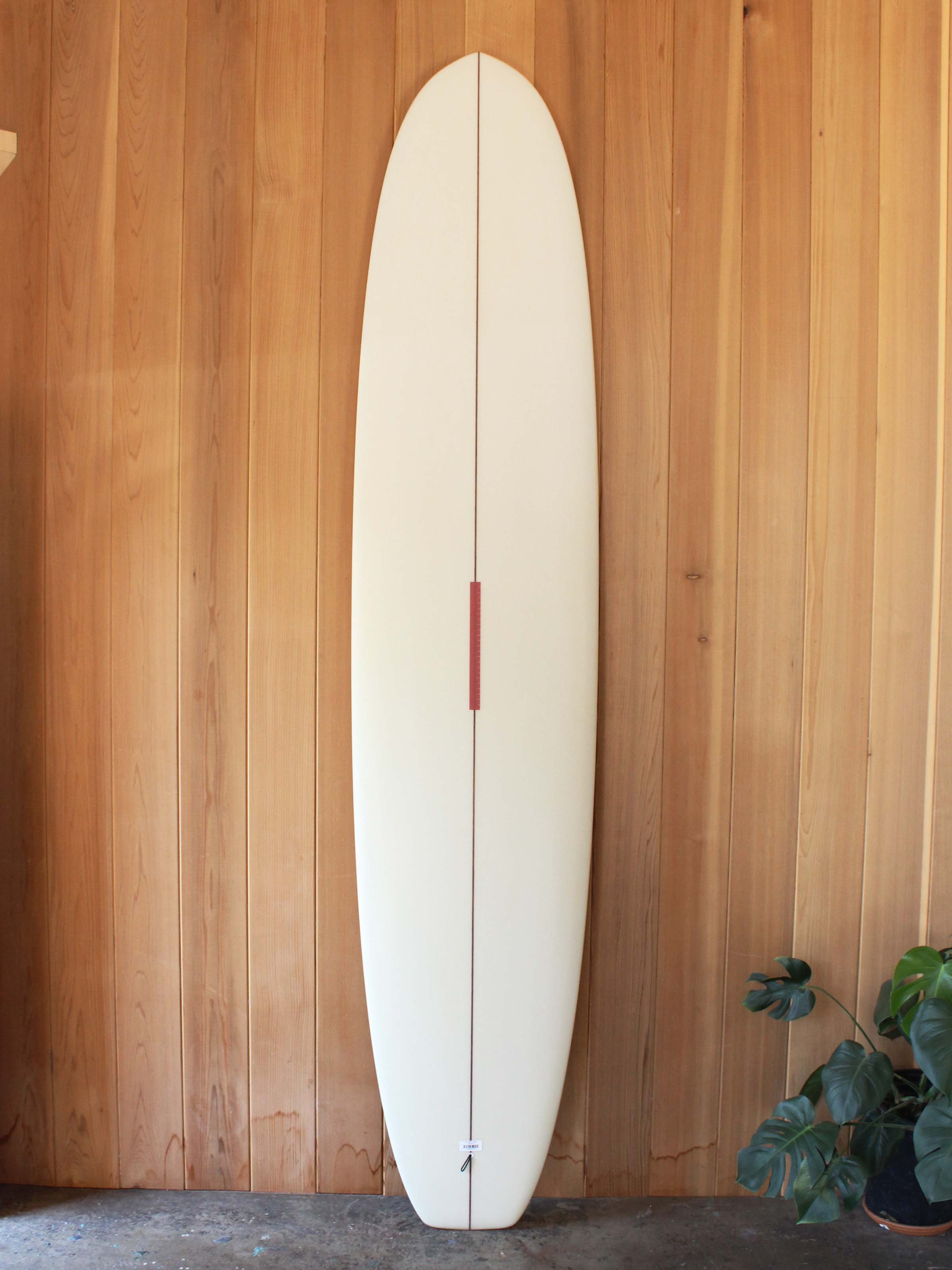 9'4 MPE Ruler - Mollusk Surf Shop