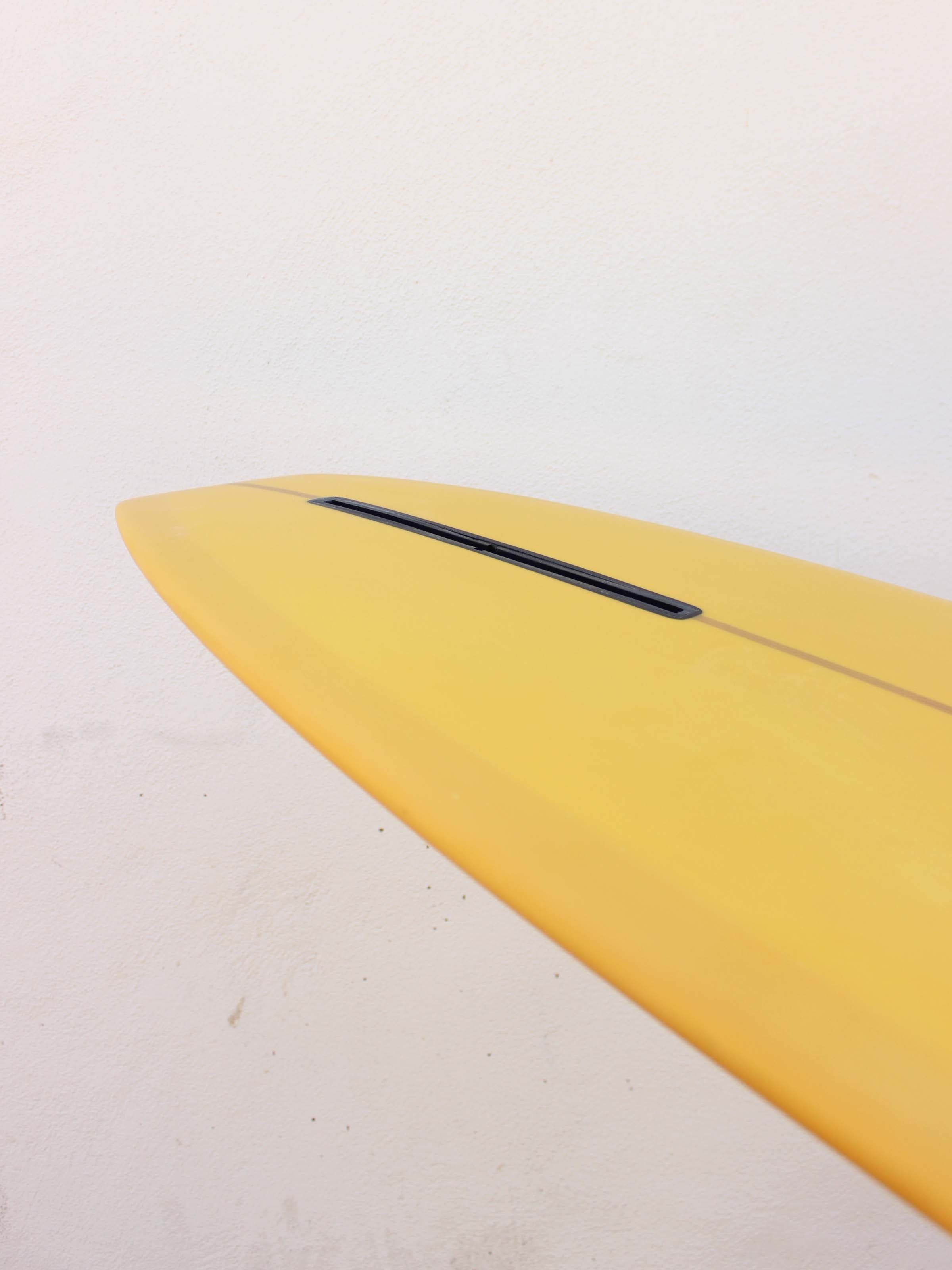 9'4 Tyler Warren Transition - Mollusk Surf Shop - description
