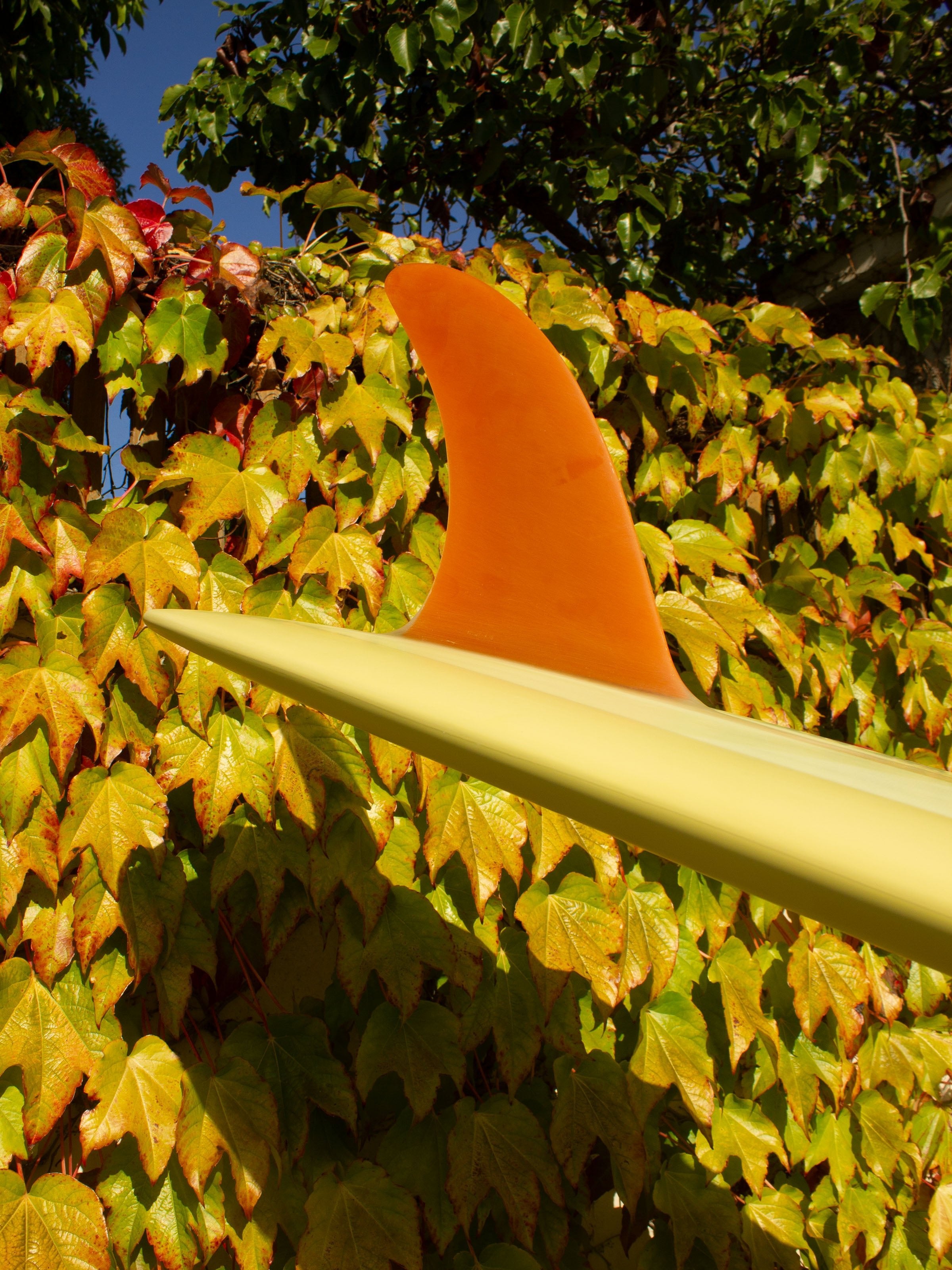 9'5 Jeff Svoboda Bongomon - Mollusk Surf Shop - description