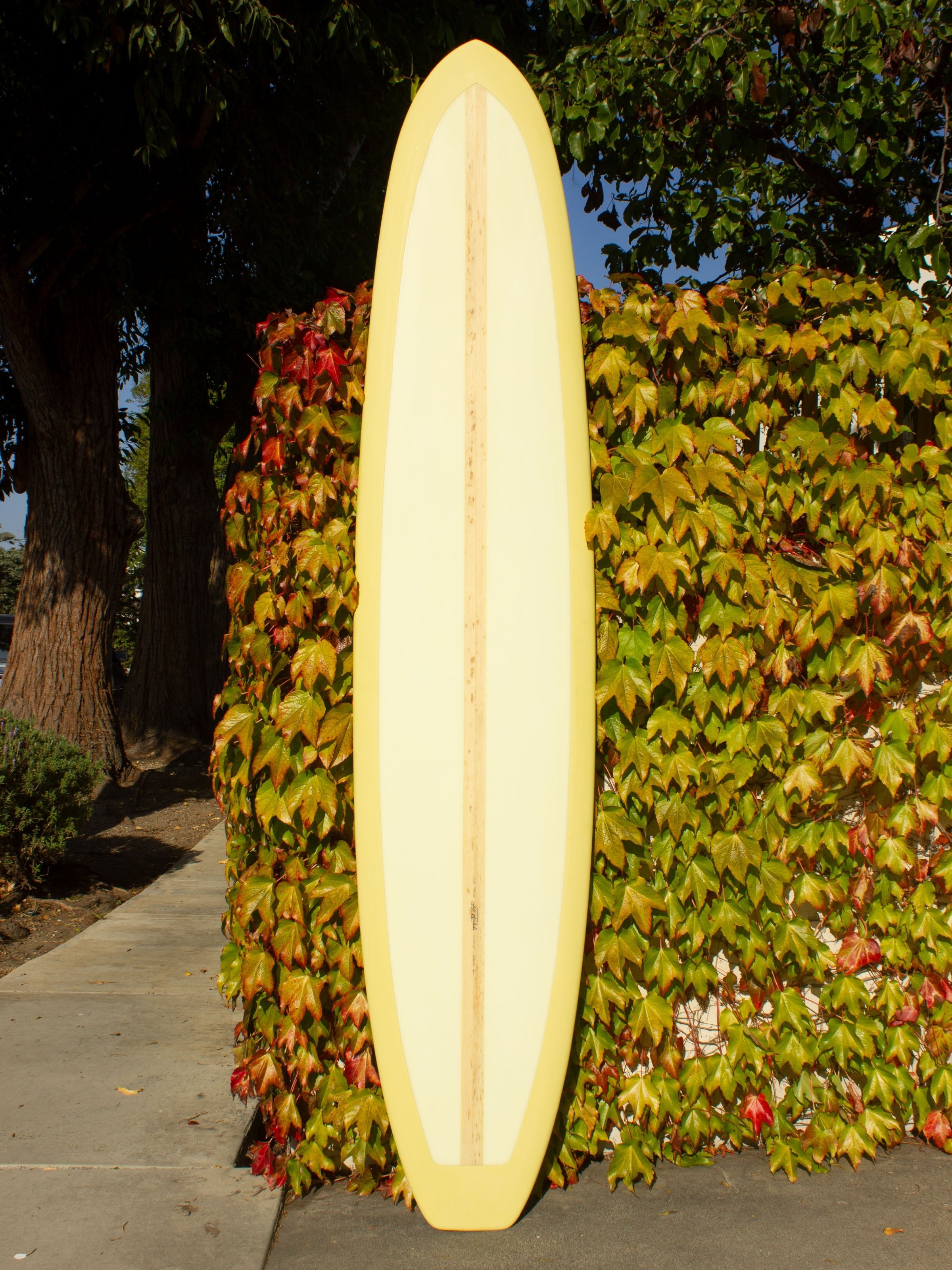 9'5 Jeff Svoboda Bongomon - Mollusk Surf Shop