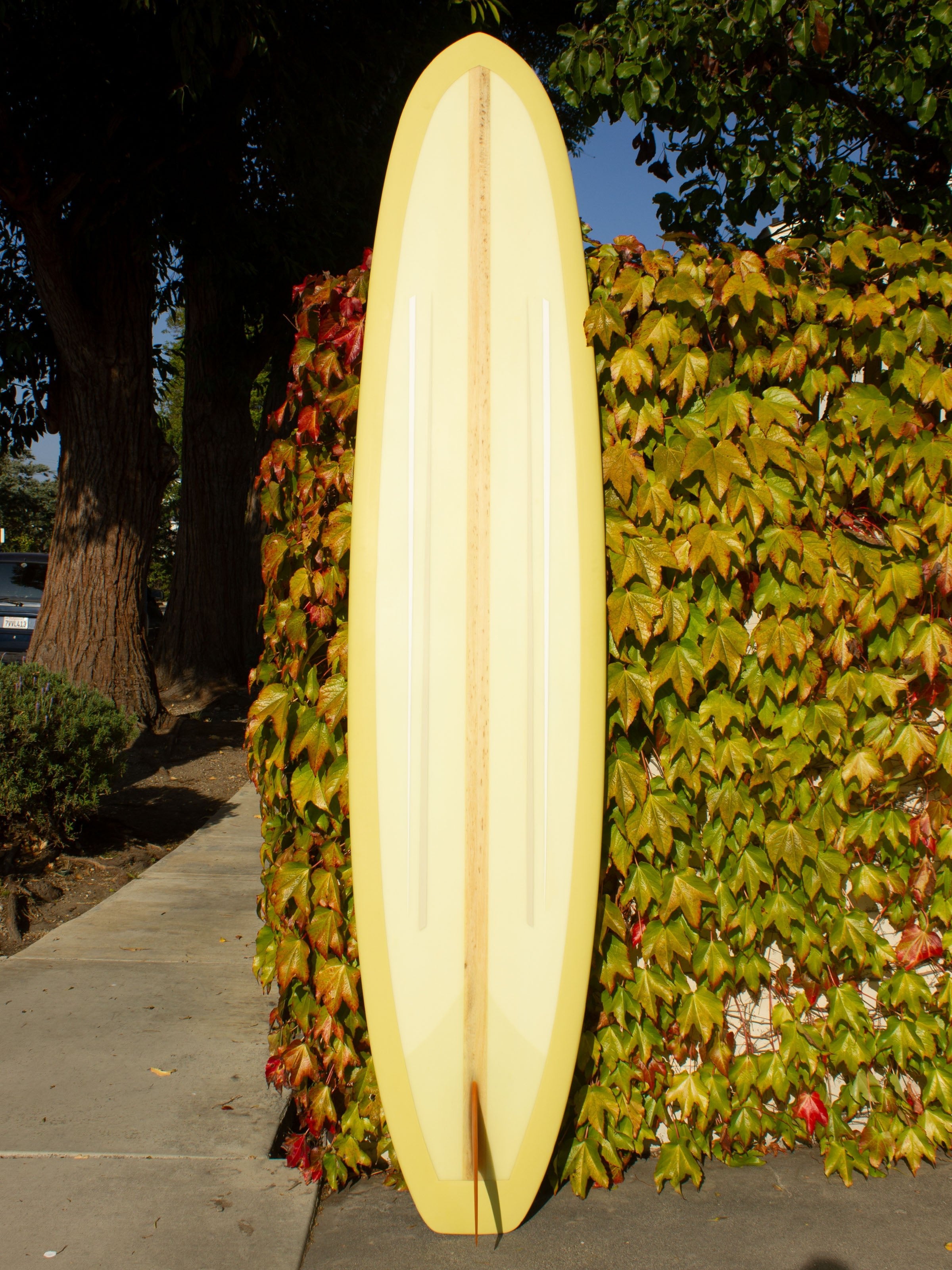 9'5 Jeff Svoboda Bongomon - Mollusk Surf Shop