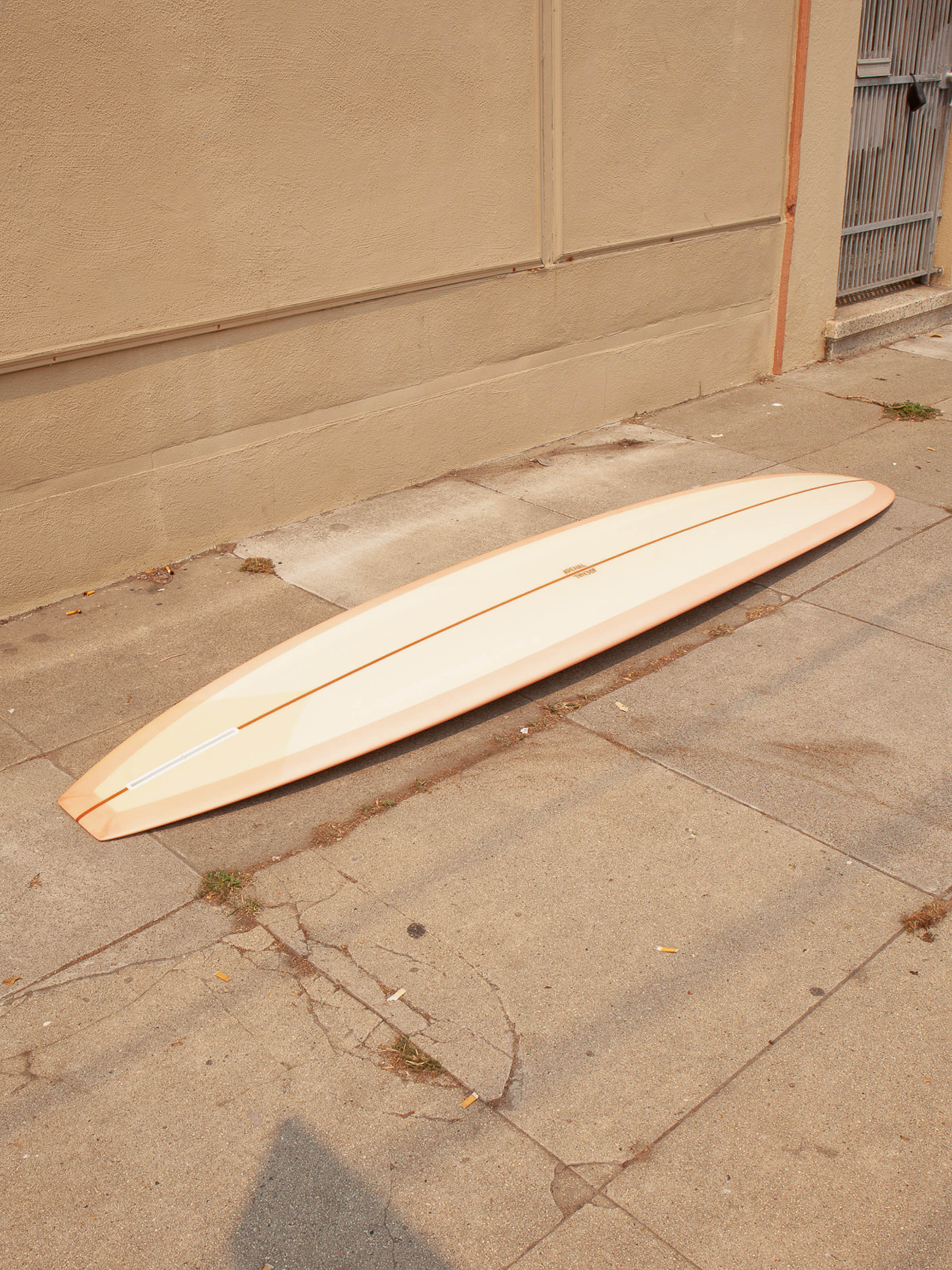 9'6 Arenal Modern Mal - Mollusk Surf Shop