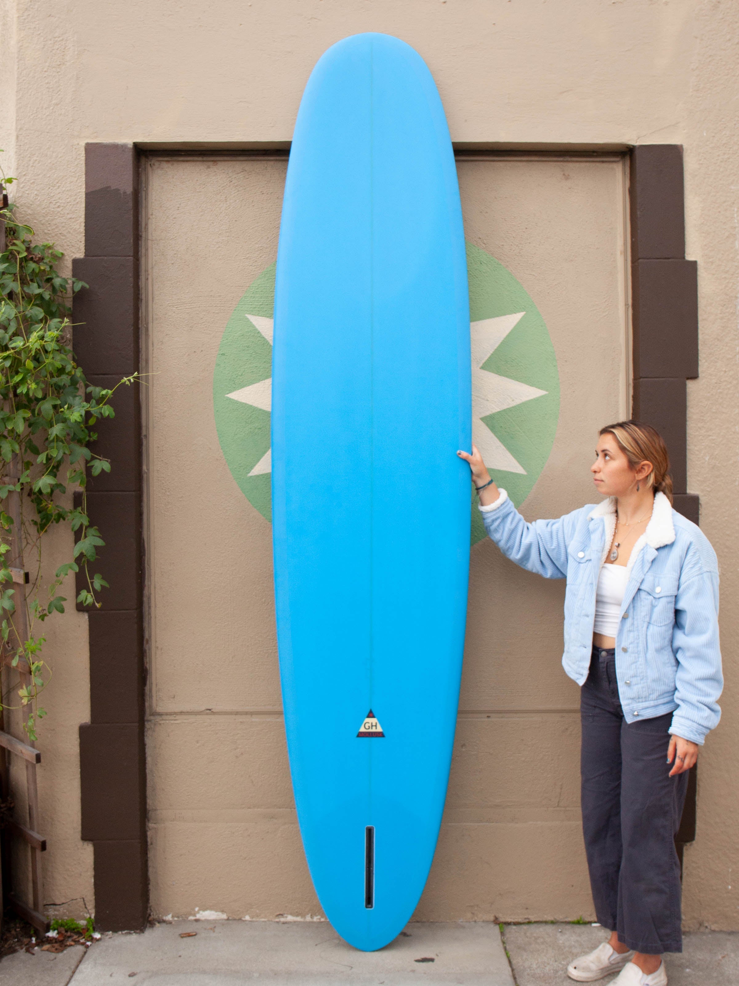 9'6 Hanel CNR - Mollusk Surf Shop