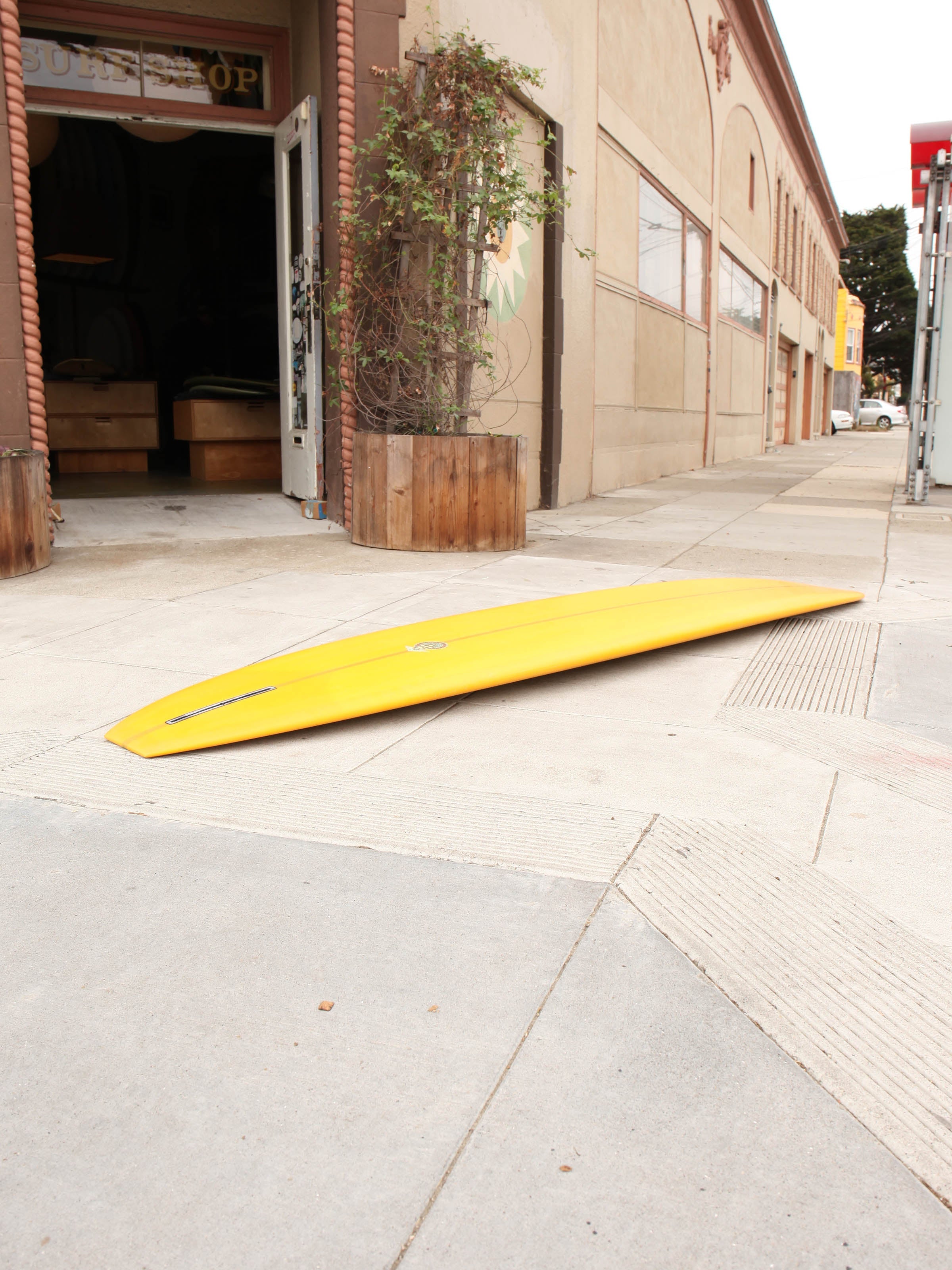 9'6 Tyler Warren Salinas - Mollusk Surf Shop
