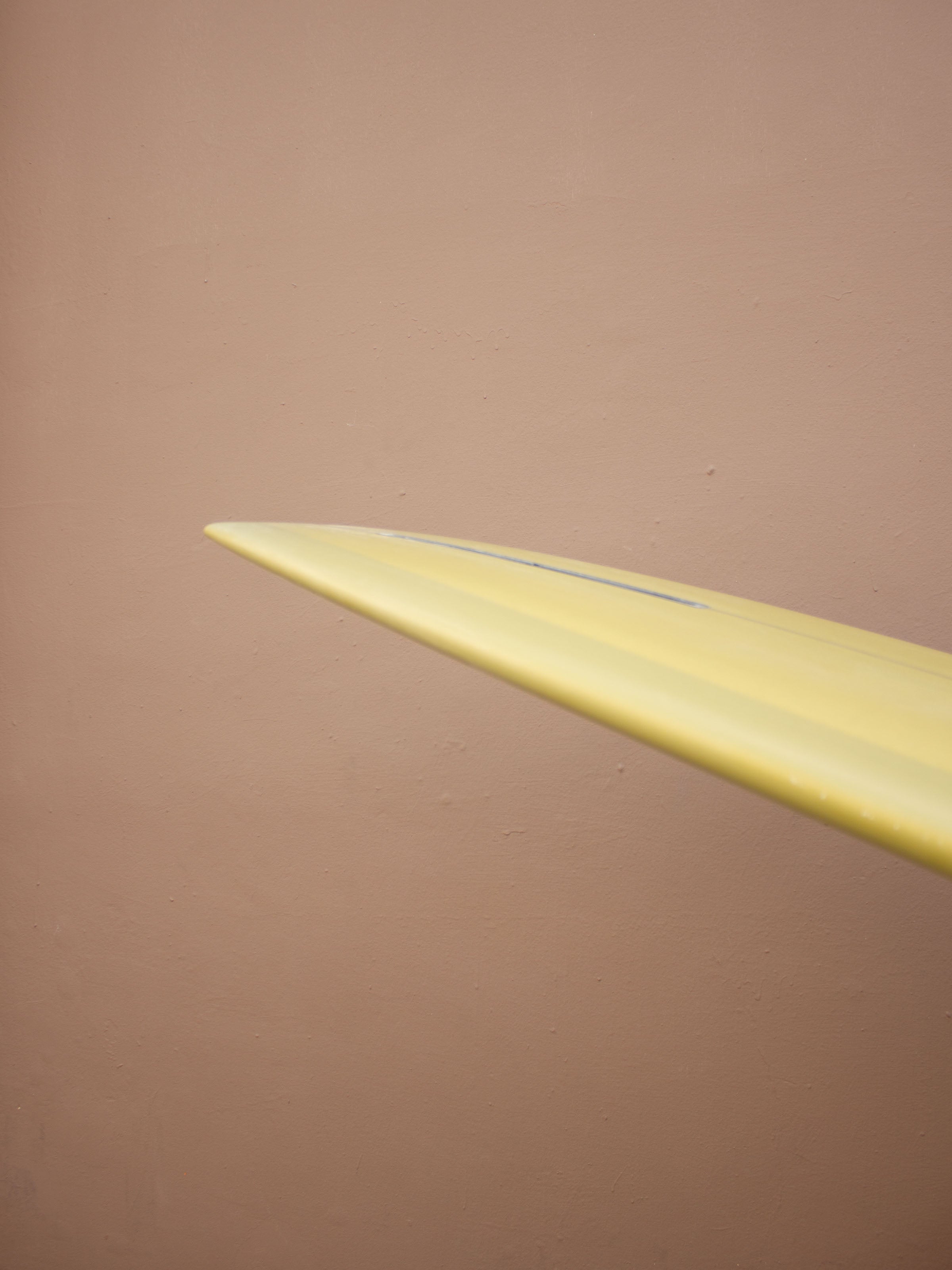 9'6 Tyler Warren Transition - Mollusk Surf Shop - description