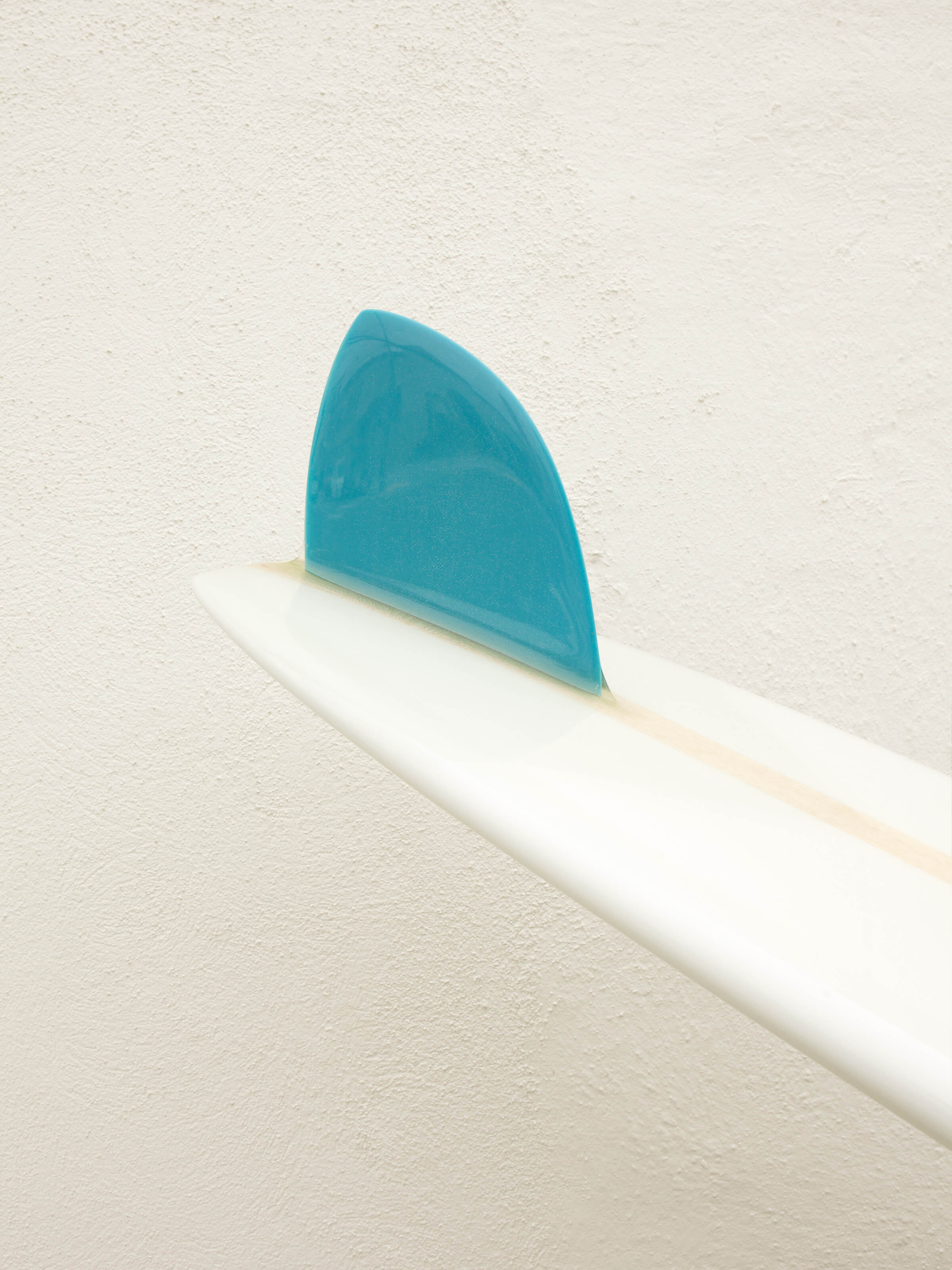9'9 Bing Feral Pig - Mollusk Surf Shop - description