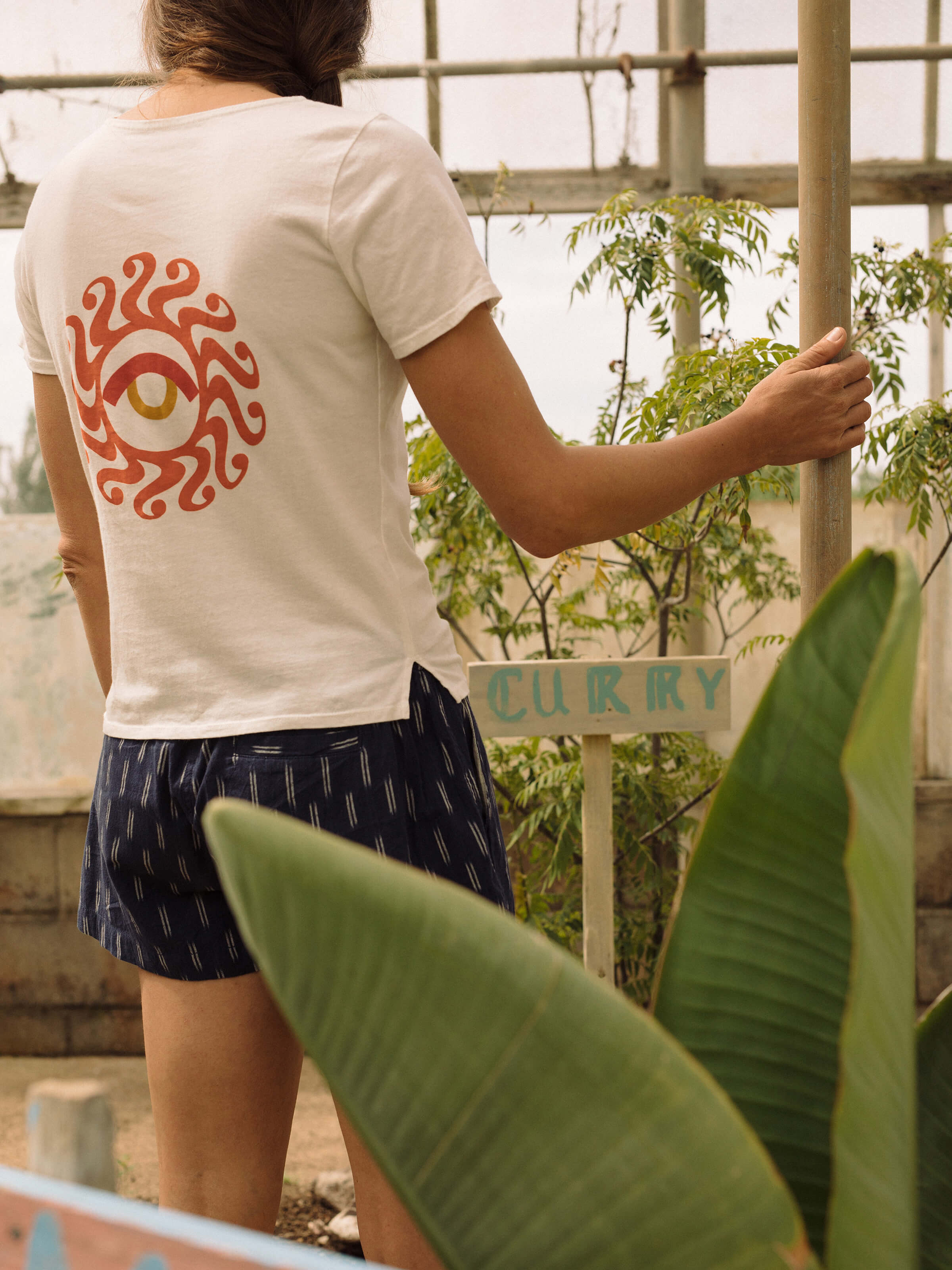Baja Shorts - XS - Mollusk Surf Shop