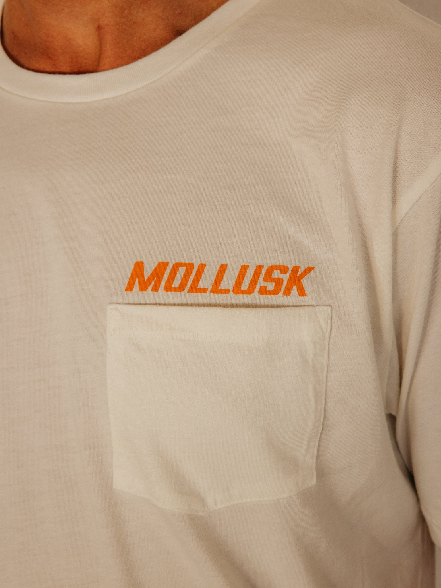 Chinook Tee - S - Mollusk Surf Shop
