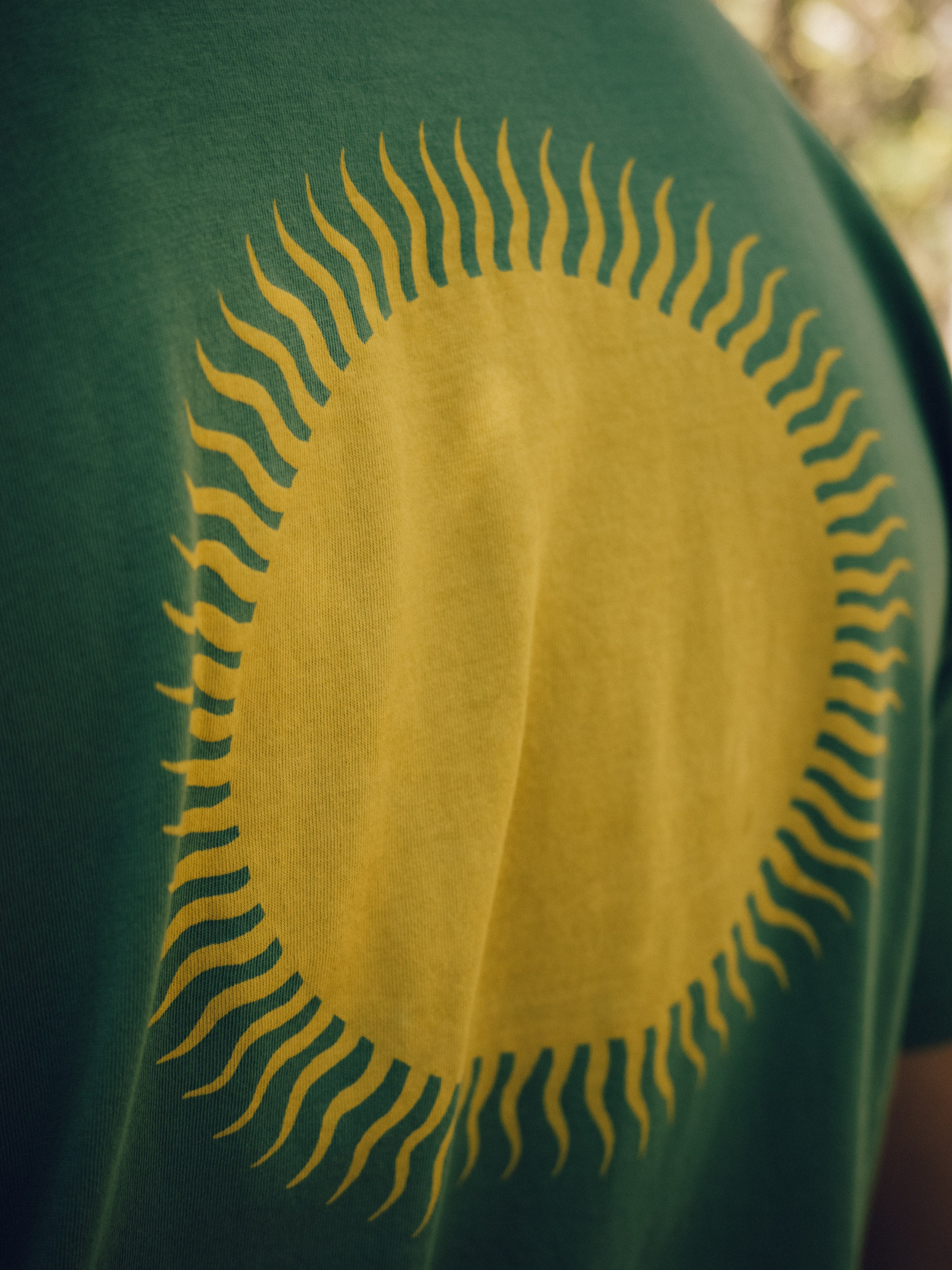 Country Sun Tee - S - Mollusk Surf Shop