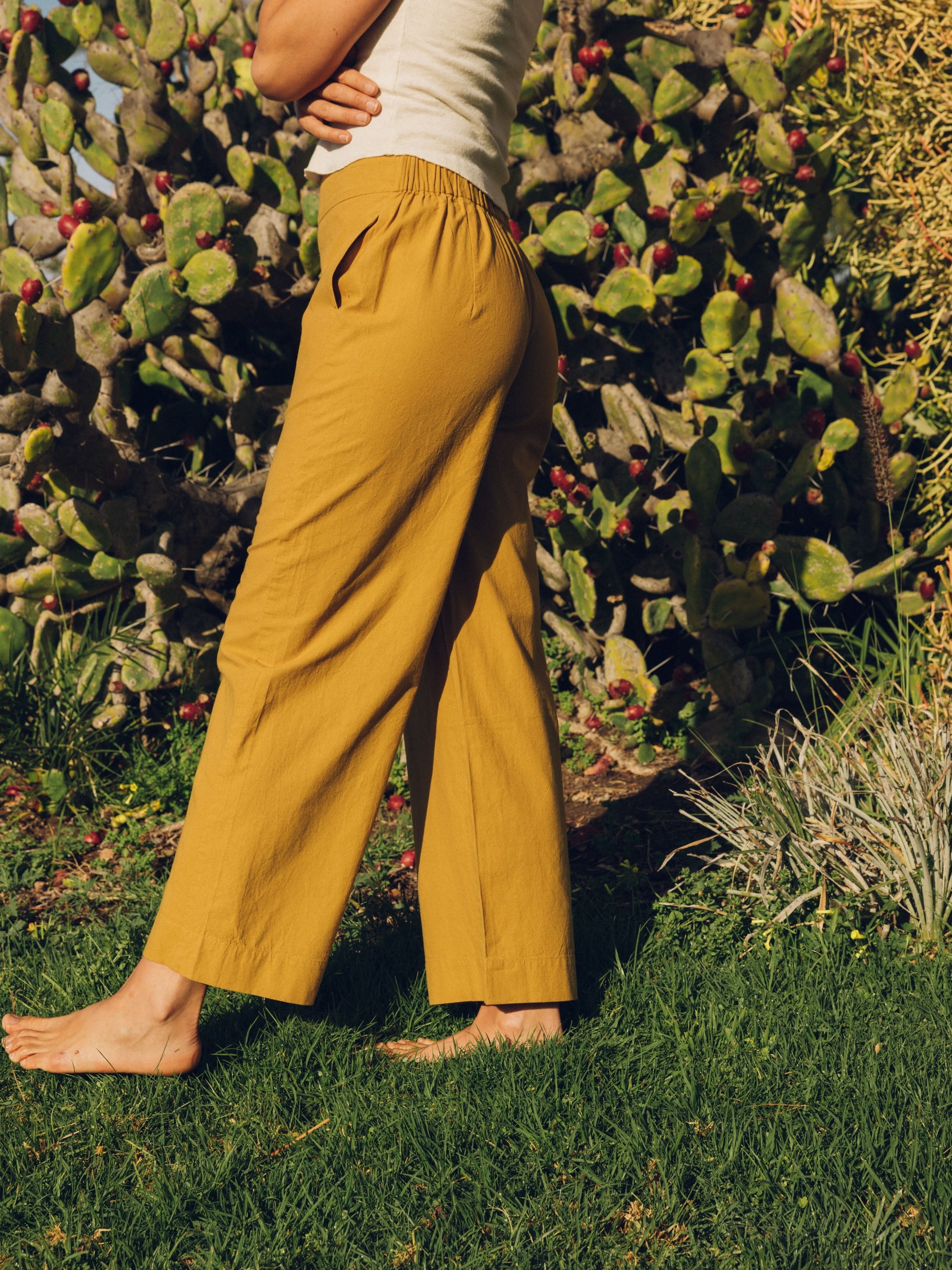 Coyote Pants - XS - Mollusk Surf Shop - description