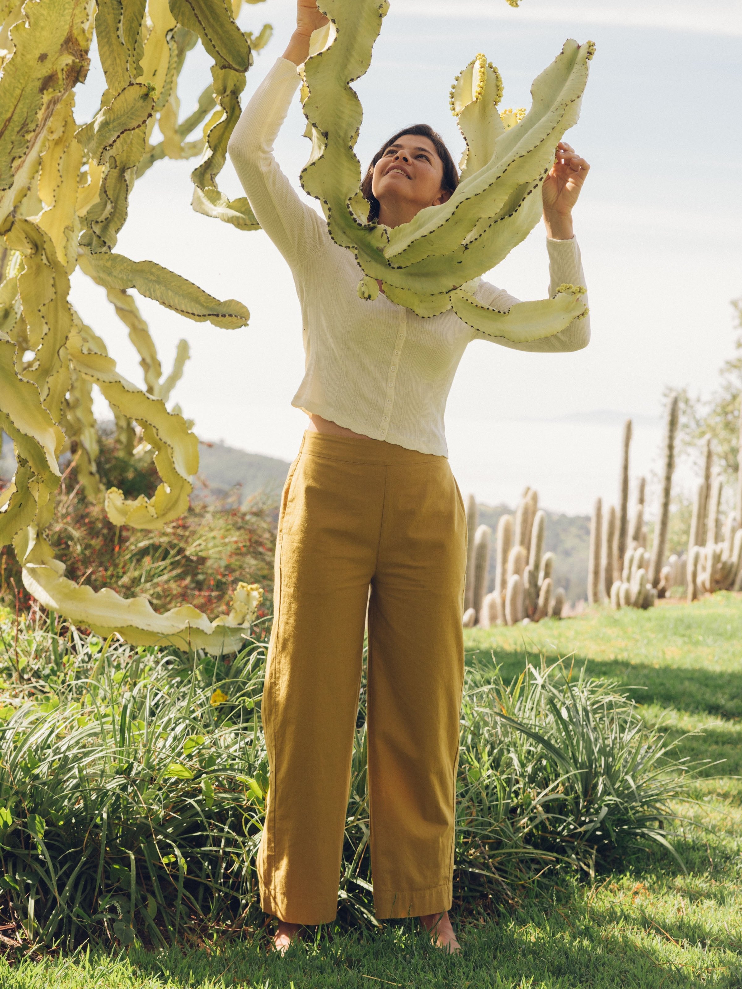 Coyote Pants - XS - Mollusk Surf Shop