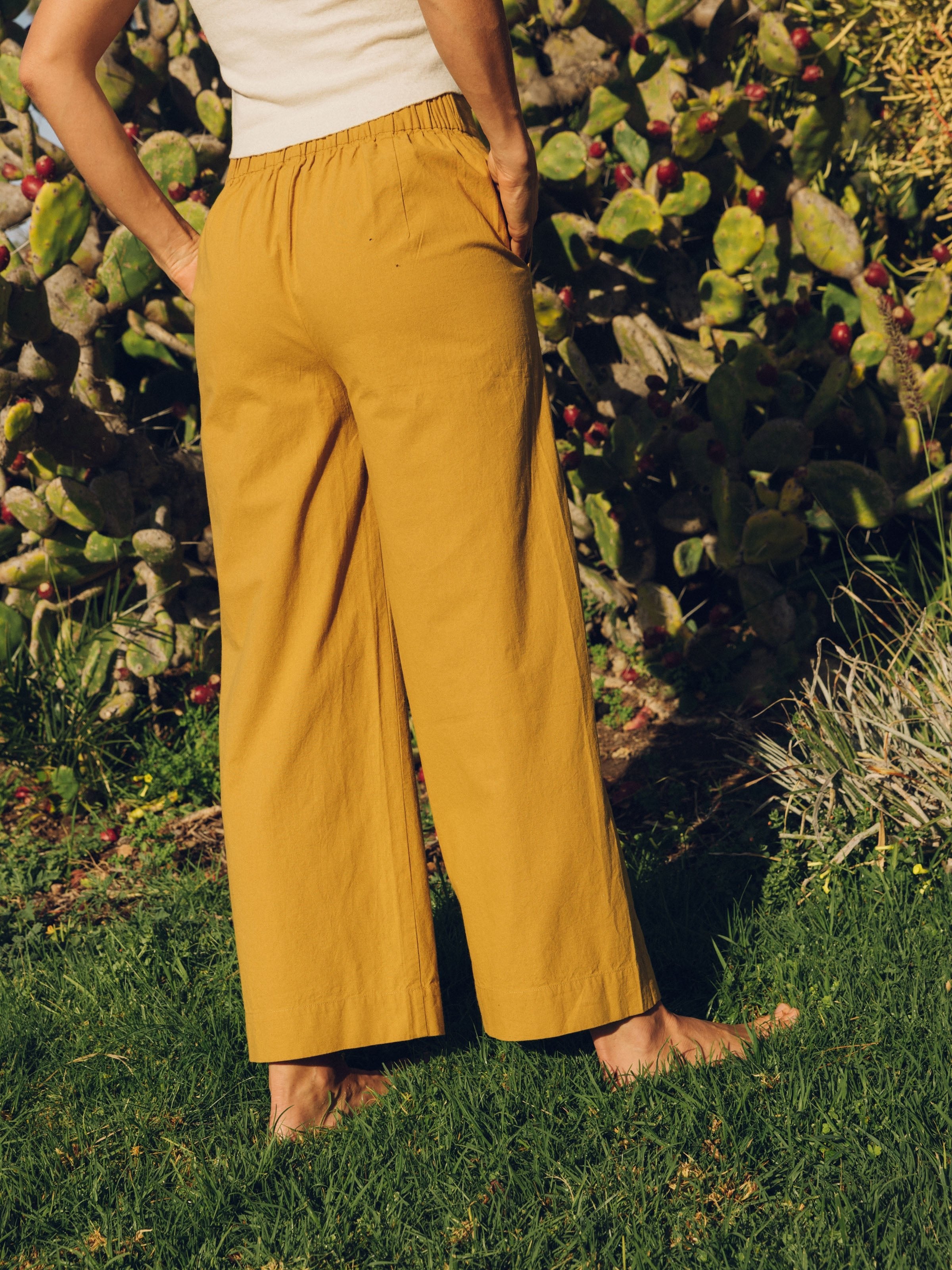 Coyote Pants - XS - Mollusk Surf Shop