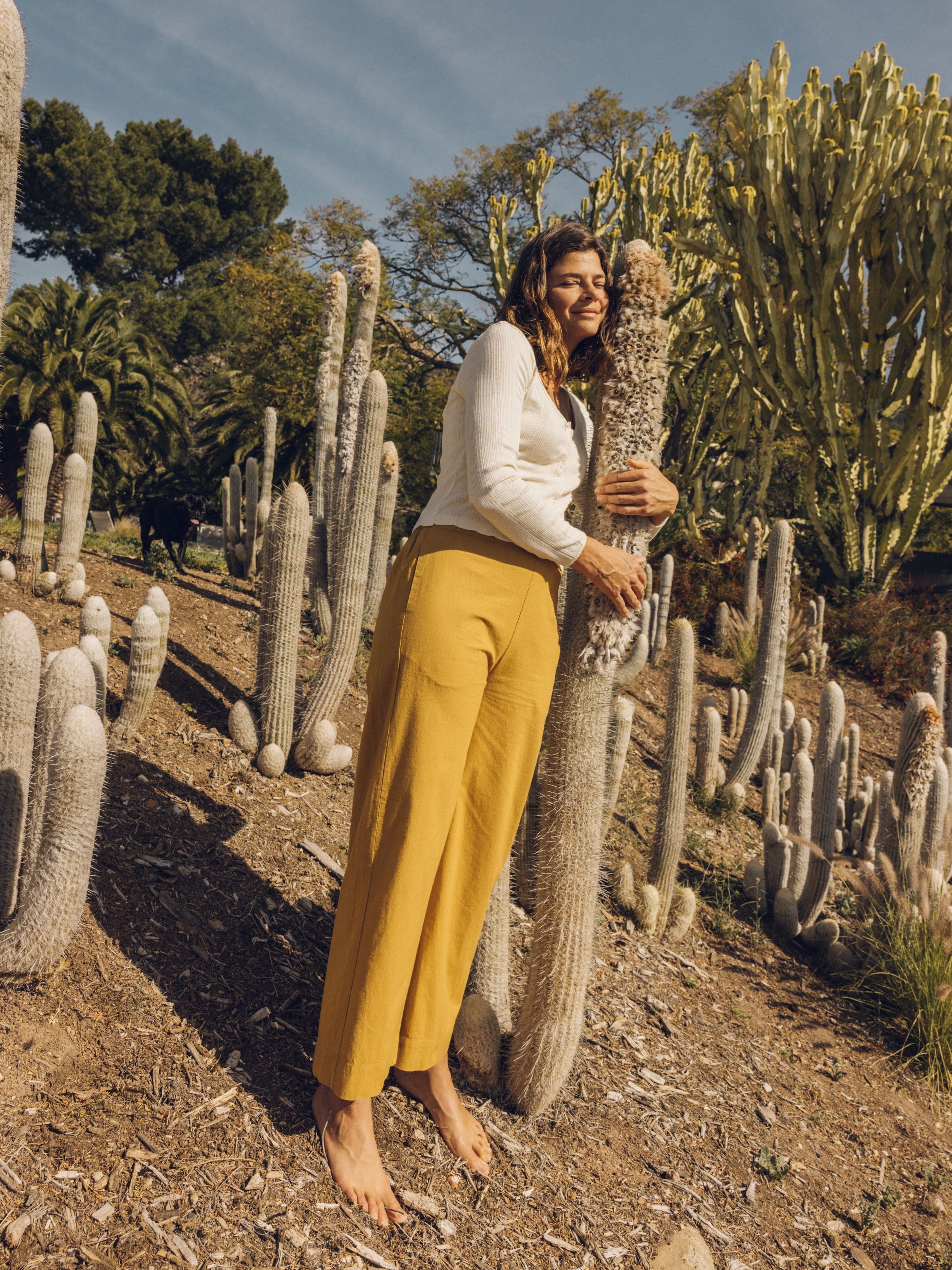 Coyote Pants - XS - Mollusk Surf Shop