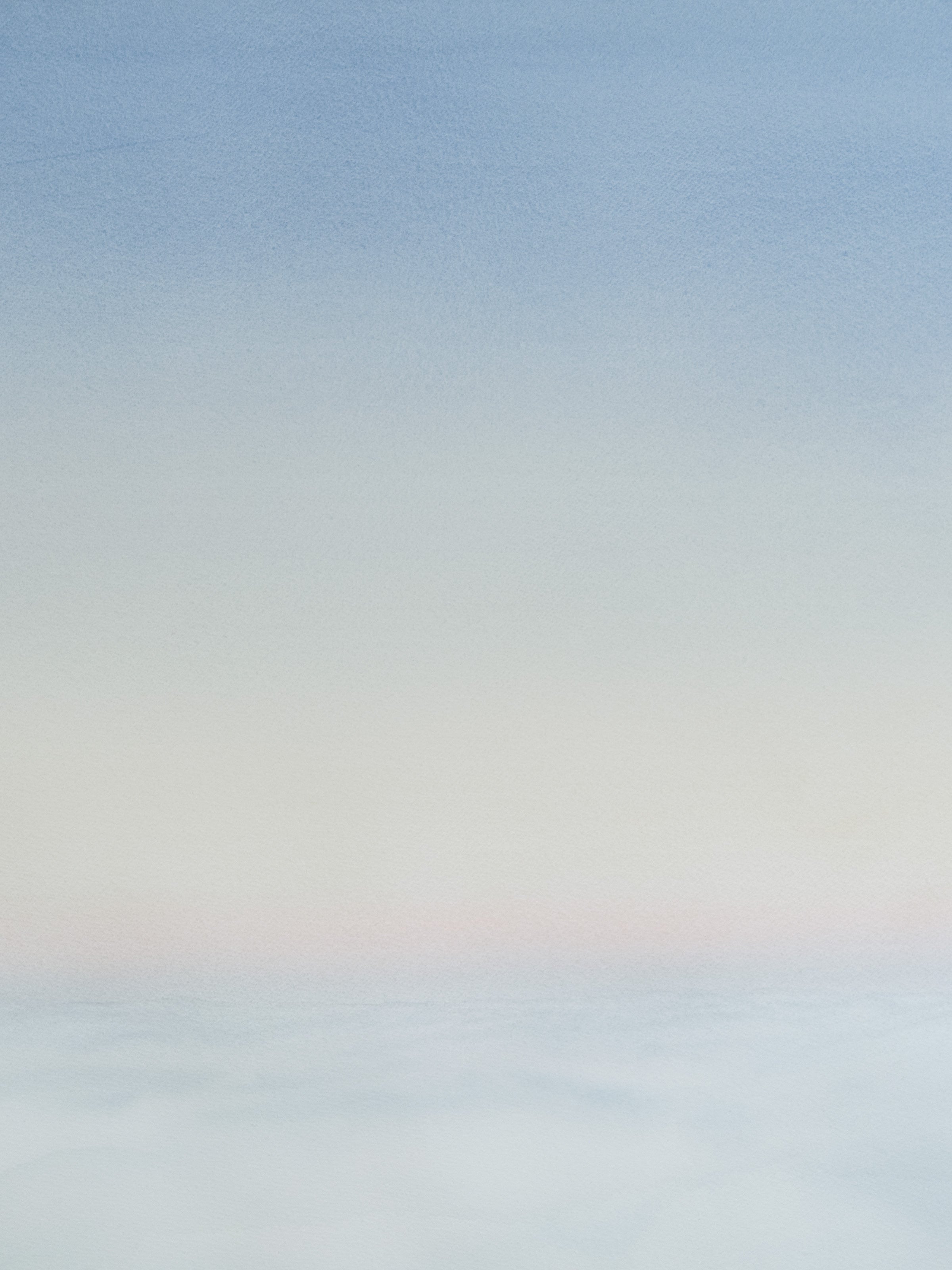 Dave Muller - Above The Fog - Mollusk Surf Shop