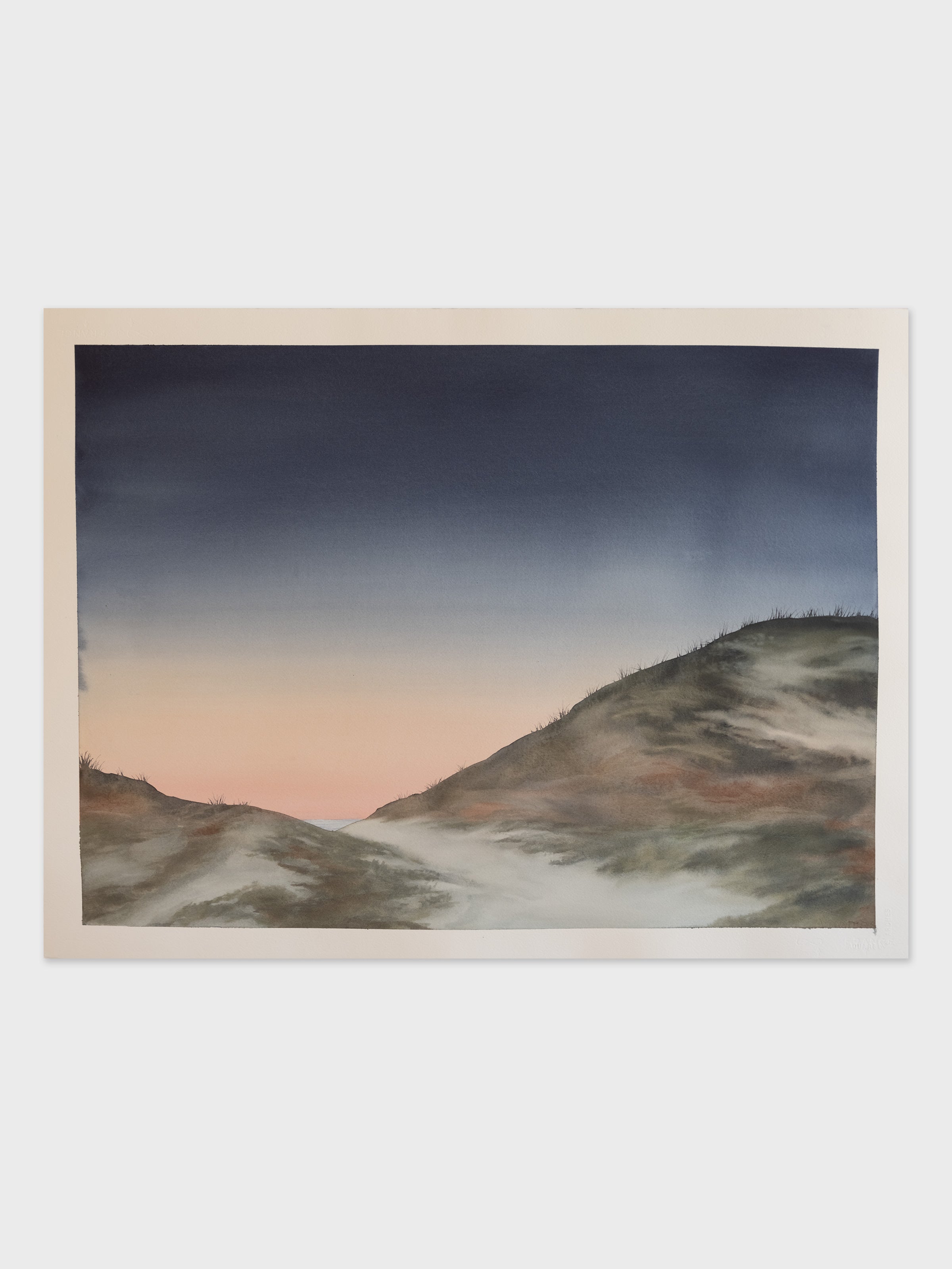 Dave Muller - Dune Glow - Mollusk Surf Shop