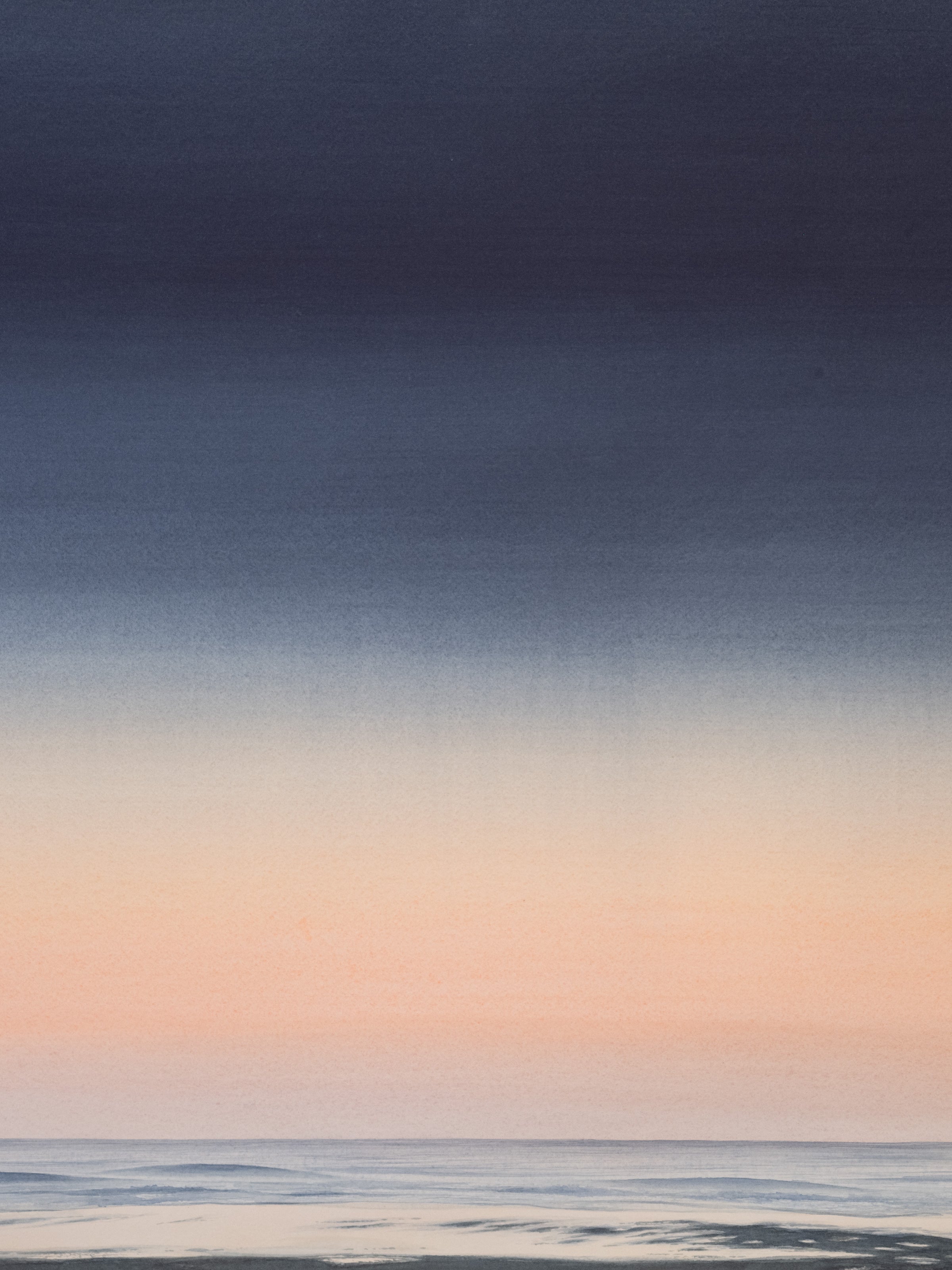 Dave Muller - Last Light - Mollusk Surf Shop