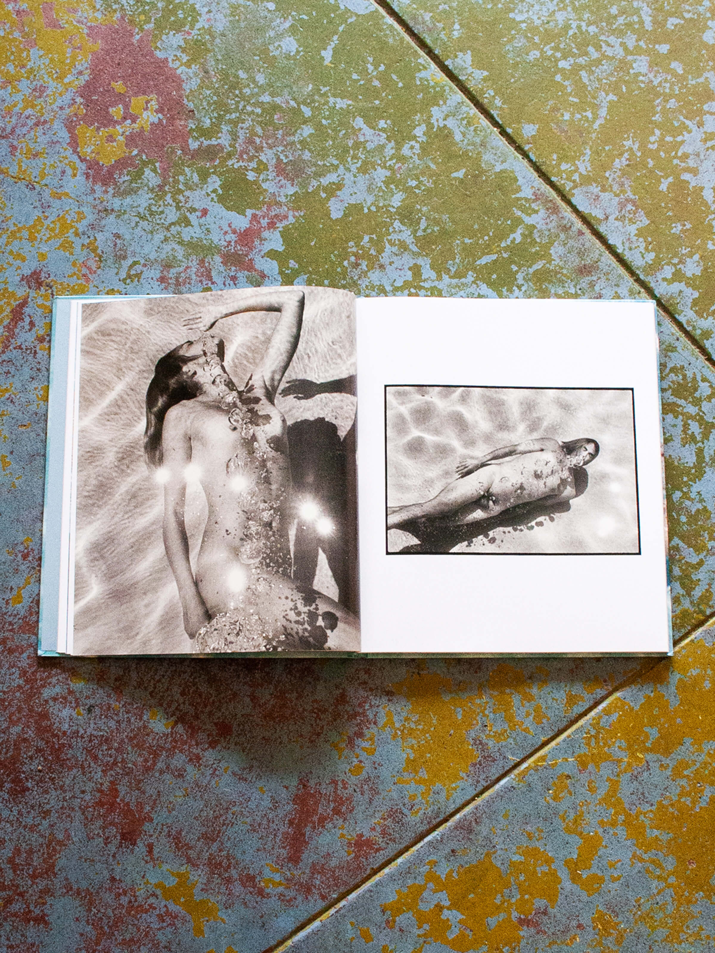 Deanna Templeton: The Swimming Pool - Mollusk Surf Shop