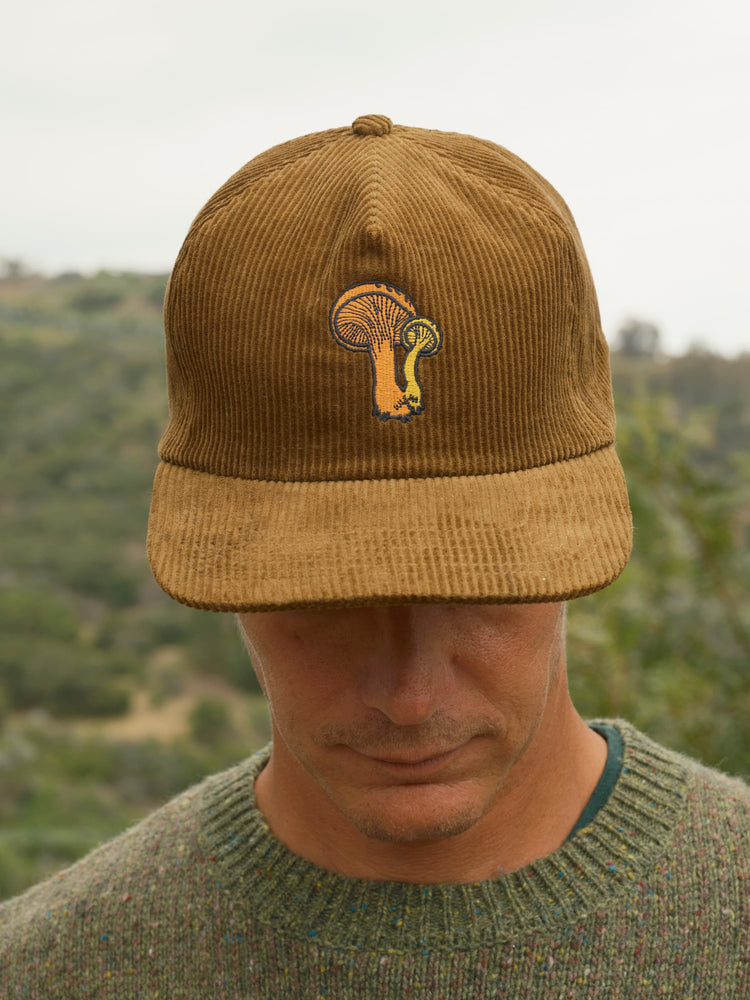 Field Guide Hat