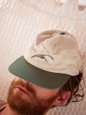 Flite Hat - OS - Mollusk Surf Shop