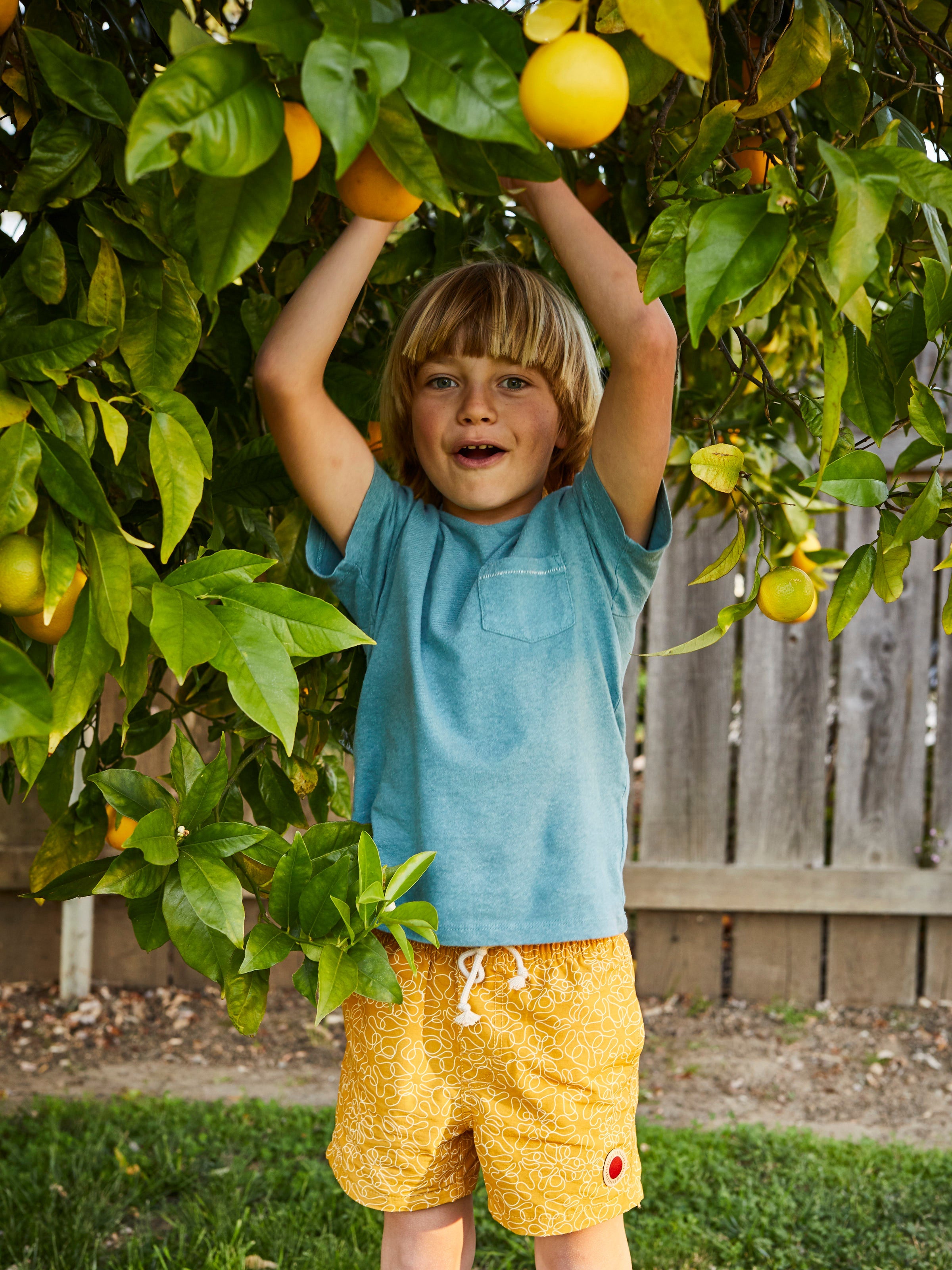 Kids Vacation Trunks - 2yr - Mollusk Surf Shop