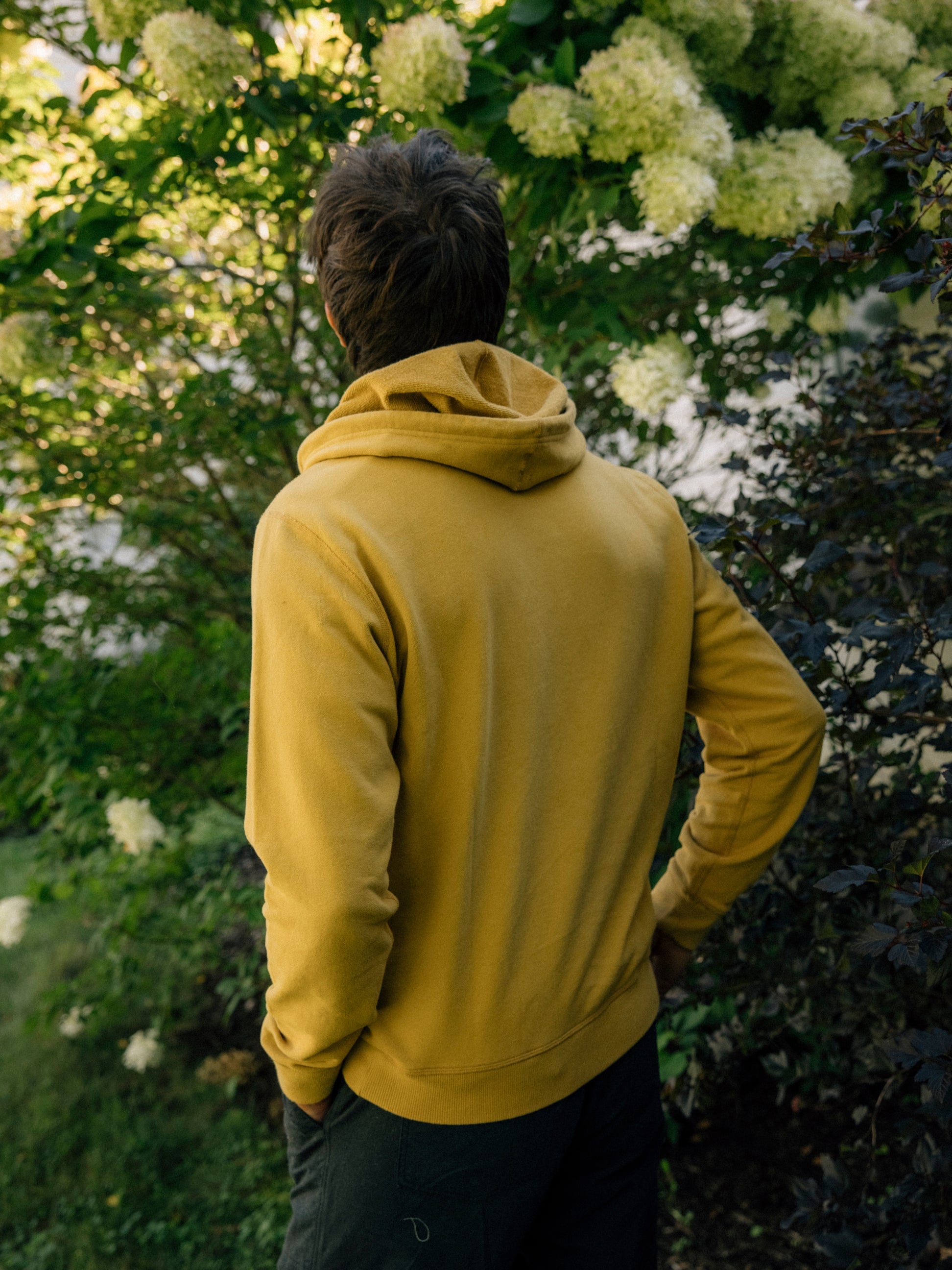 Max Pullover - S - Mollusk Surf Shop