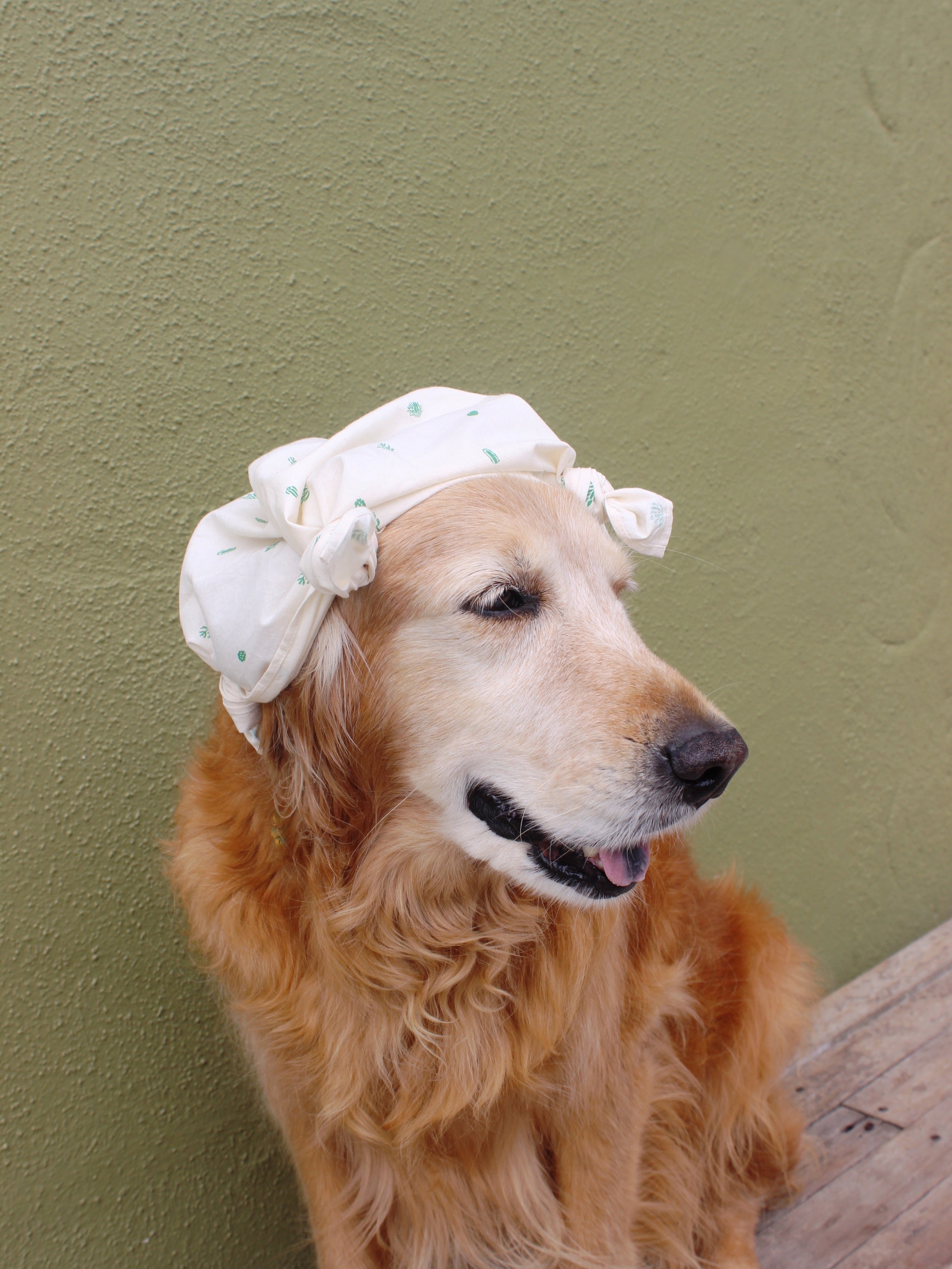Mollusk Bandana - OS - Mollusk Surf Shop