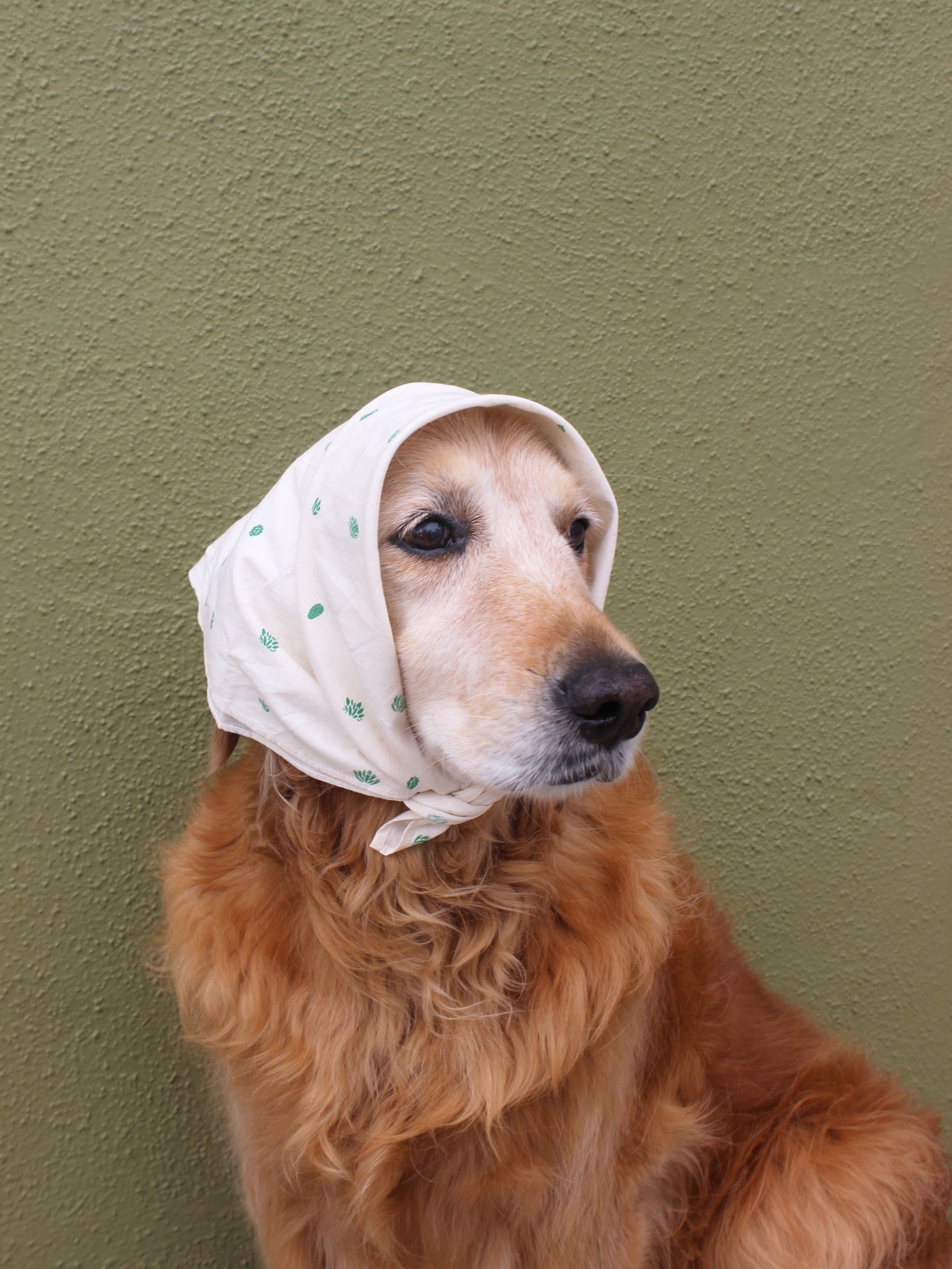 Mollusk Bandana - OS - Mollusk Surf Shop