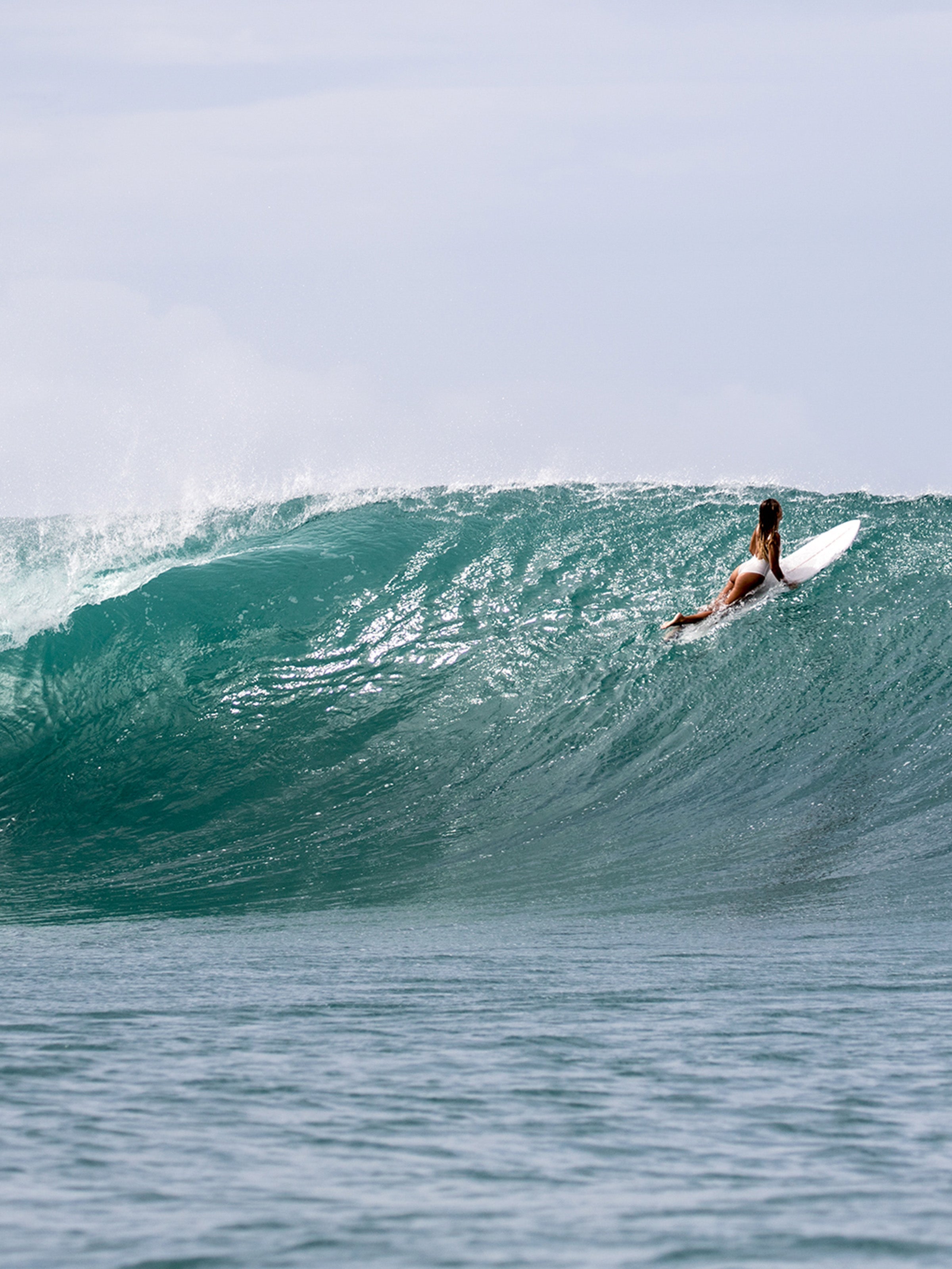 Mollusk Maillot - XS - Mollusk Surf Shop