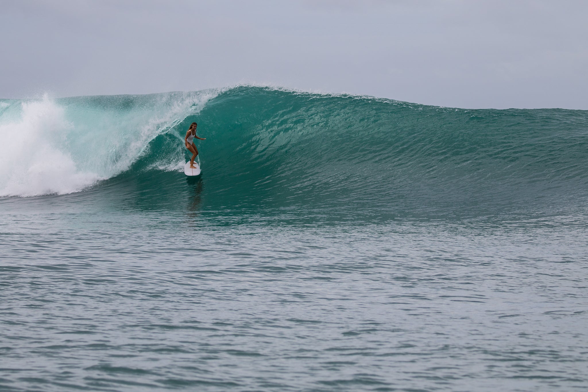 Mollusk Maillot - XS - Mollusk Surf Shop