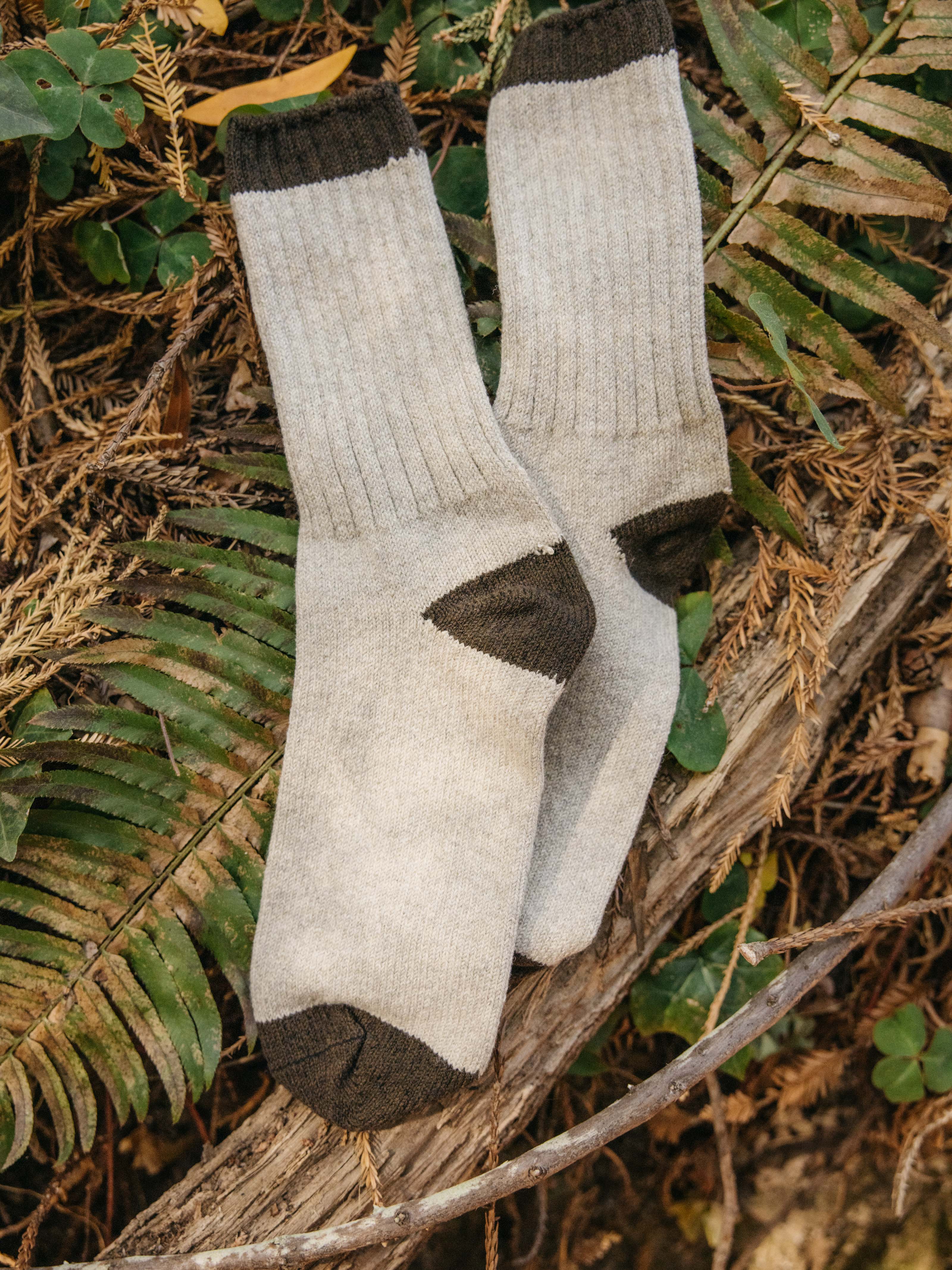 Mollusk Wool Sock - S - Mollusk Surf Shop
