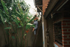 Painter Pants - XS - Mollusk Surf Shop
