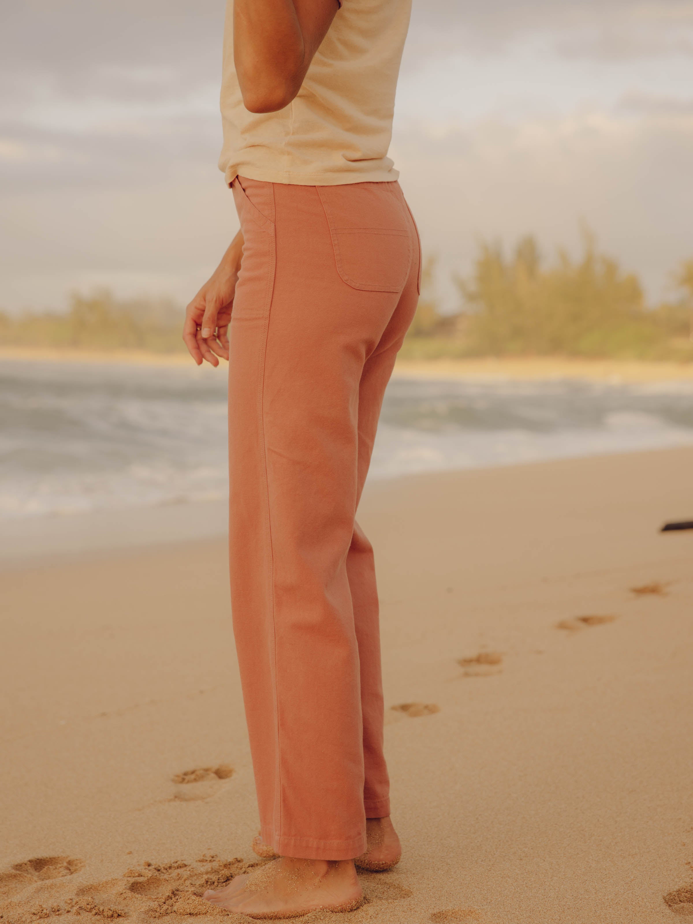 Painter Pants - XS - Mollusk Surf Shop - description
