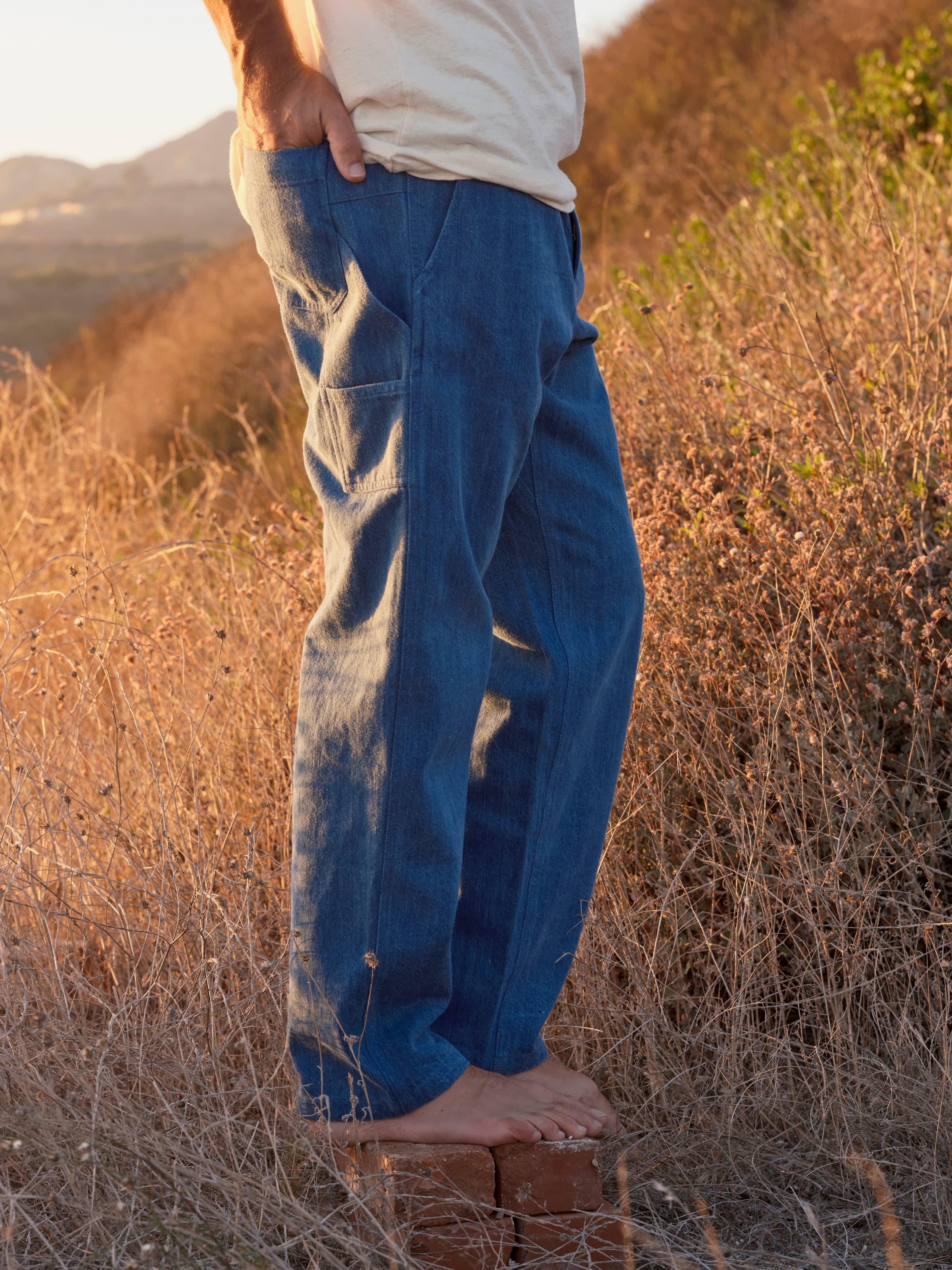 Pinnacle Pants - S - Mollusk Surf Shop