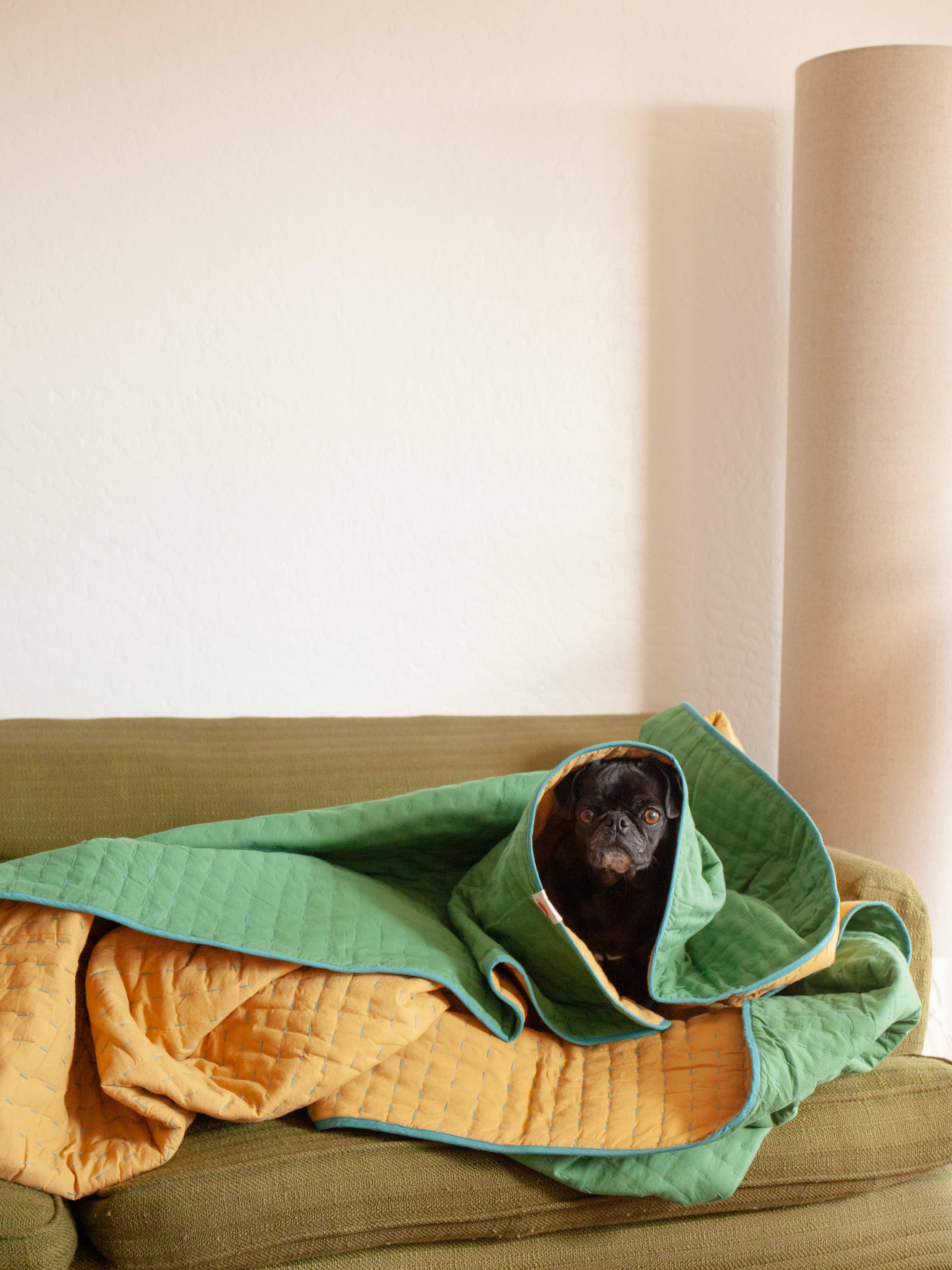 Quilted Blanket - OS - Mollusk Surf Shop